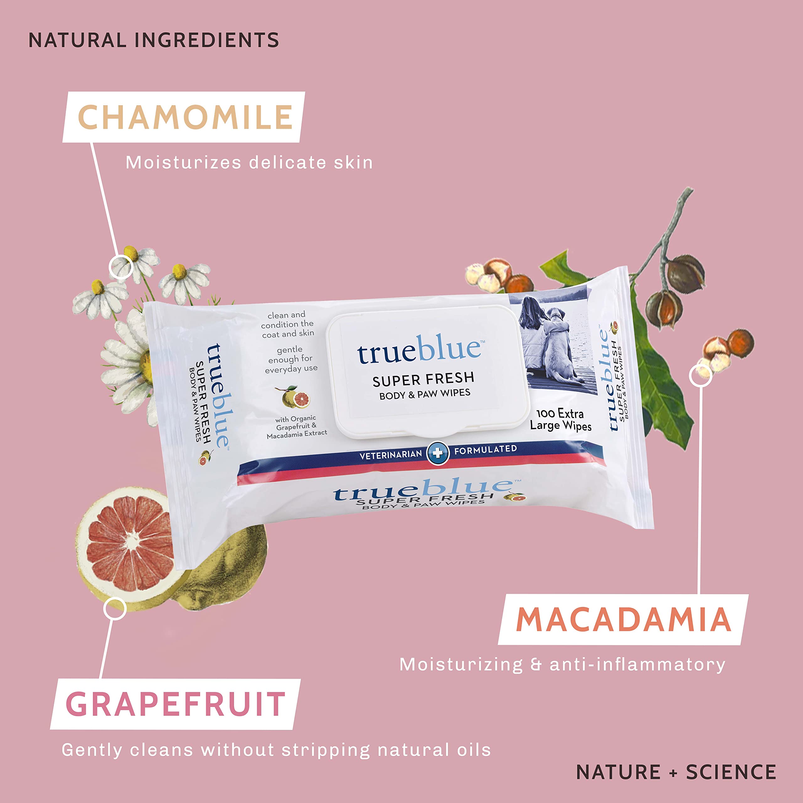 Trueblue Super Fresh Body And Paw Wipes For Dogs And Puppies - Clean Dirty Paws And For Deodorizing - Extra Large, Non-Toxic - 8'X7' - 100 Count