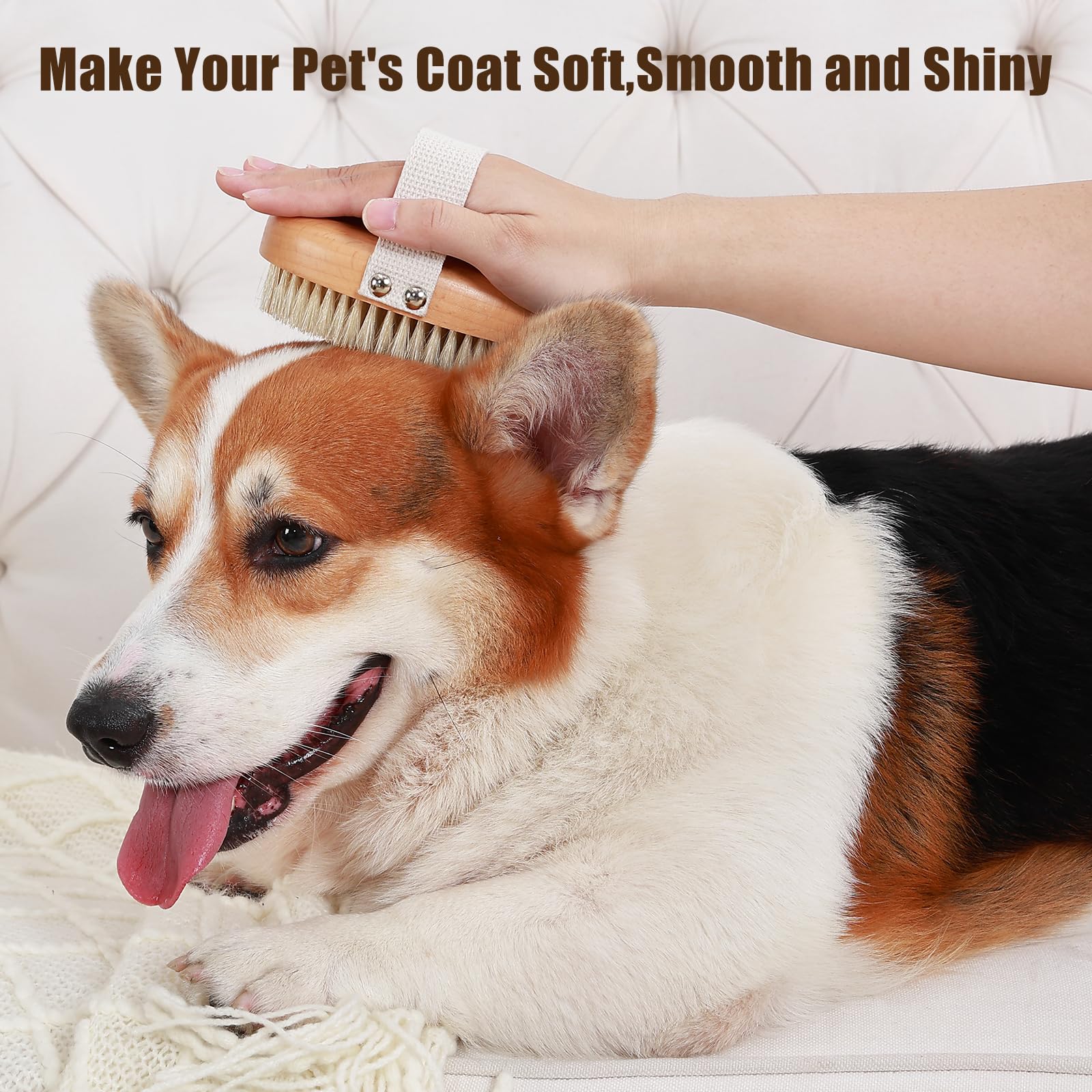 Soft Boar Bristle Pet Palm Brush For Short Haired Dogs And Cats With Band, Reduce Shedding, Ergonomic Dog Brush, Easy To Hold An