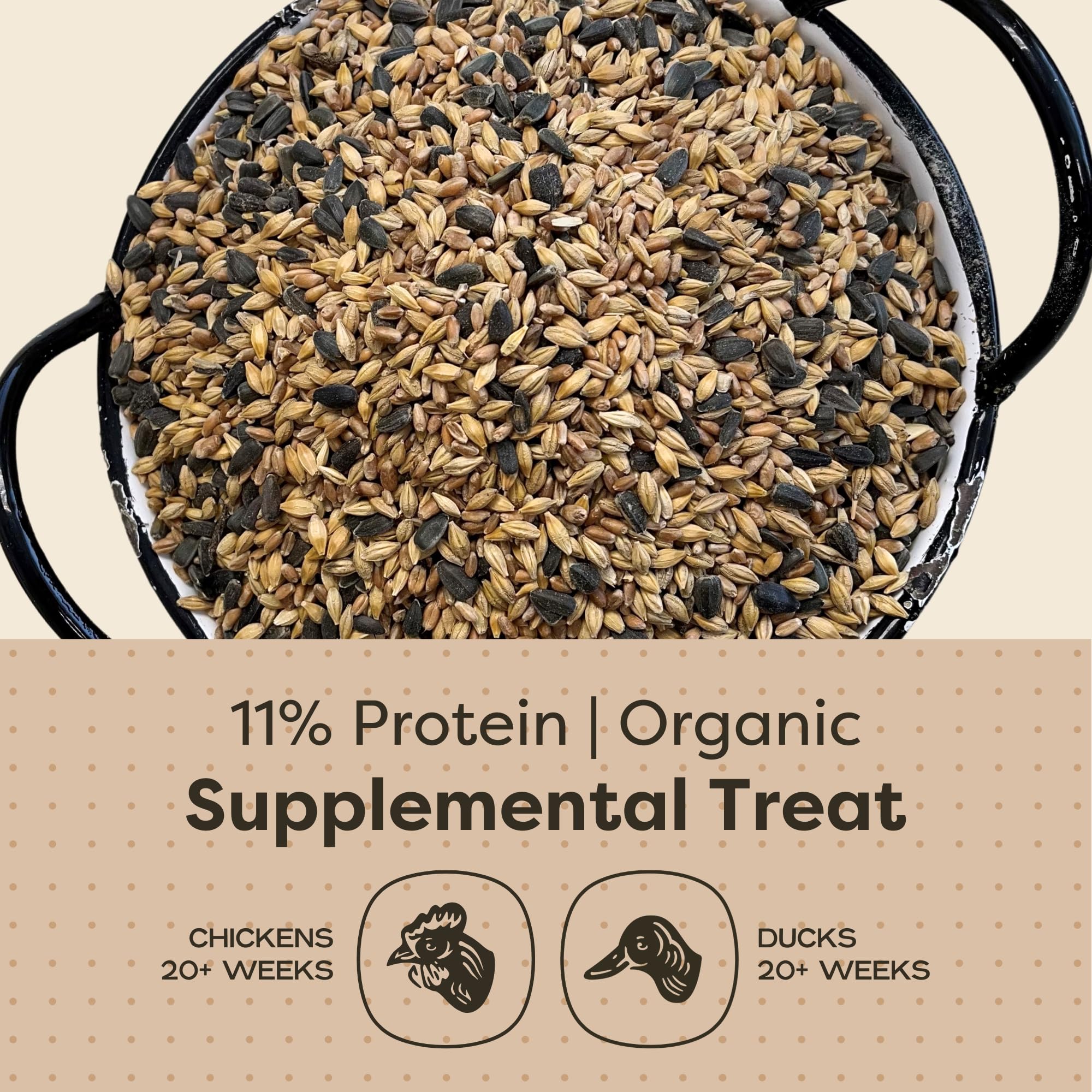 Scratch and Peck Scratch + Seeds Chicken and Duck Treat - 10 lbs Bag - 11% Protein, Certified Organic and Non-GMO Project Verifi