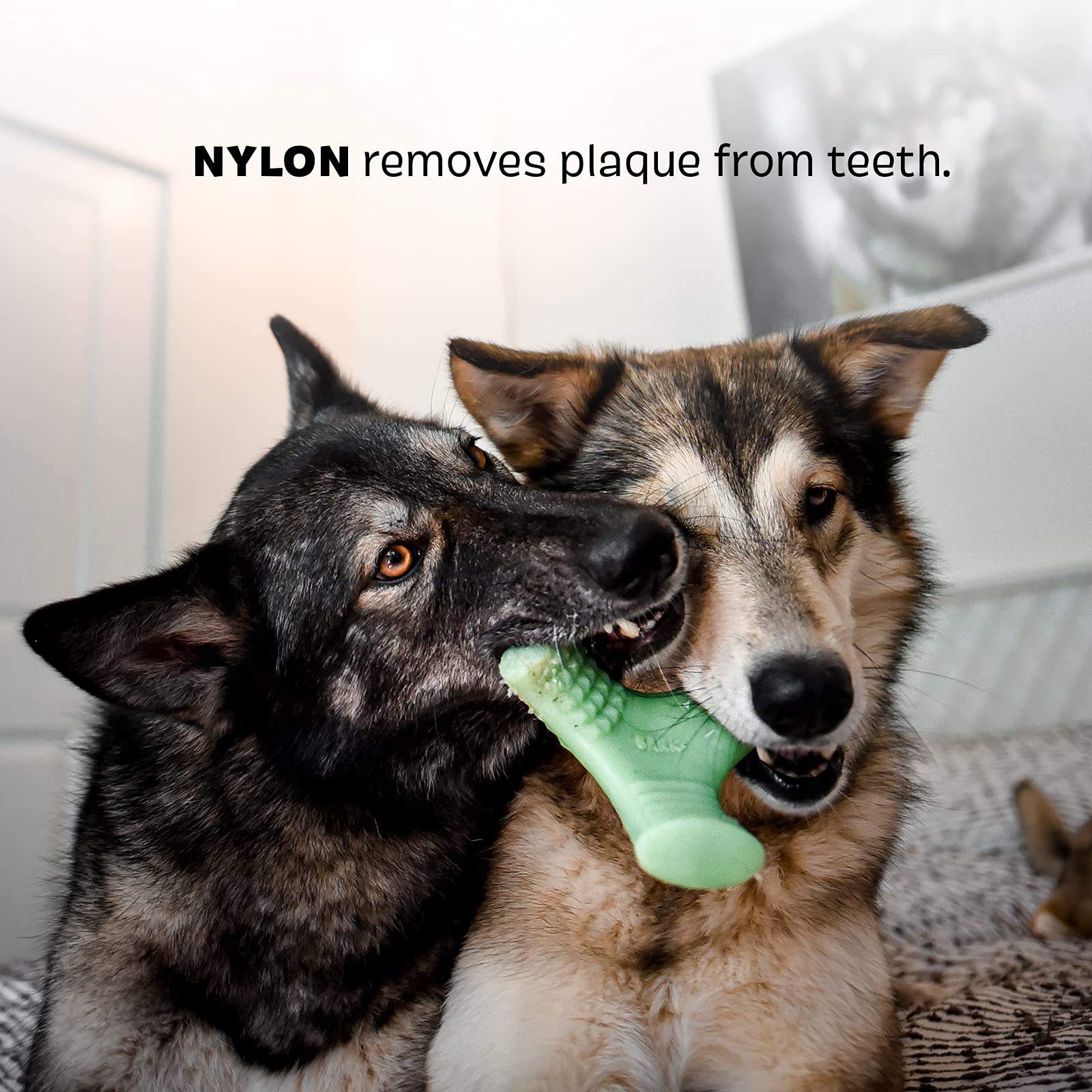 Barkbox Super Chewer Tough Dog Chew Toys For Aggressive Chewers, Dental Stimulating (Chopper - Small)