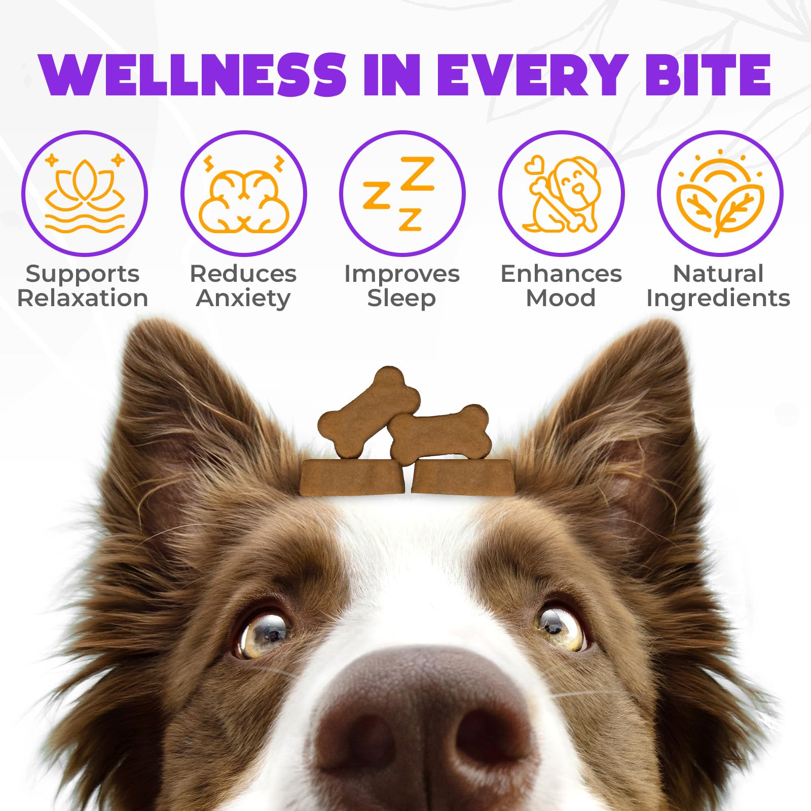 Hemp Calming Chews for Dogs Anxiety 60 pcs - Chicken Flavored - Dog Anxiety Relief - Dog Calming Chews - Melatonin for Dogs - fo