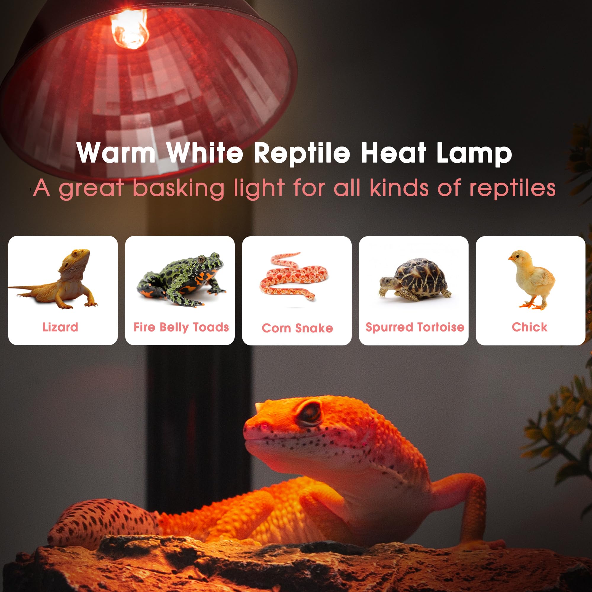 Briignite Reptile Heat Lamp Red, Reptile Night Lamp 50W, G9 Heat Bulb & Dome Reptile Light Fixture, Aluminum Reflector, Dimmable