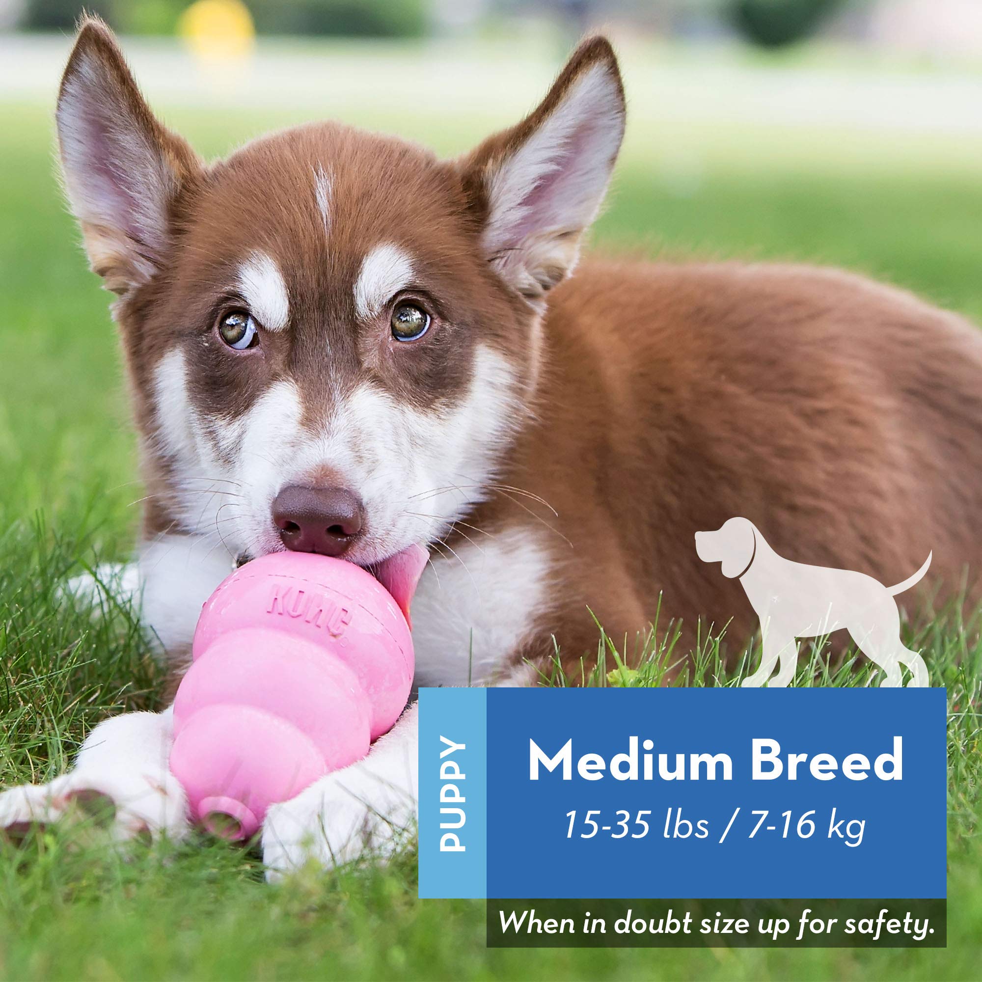 Kong - Puppy Toys For Teething With Puppy Easy Treat Stuffing (Colors May Vary) - For Medium Puppies