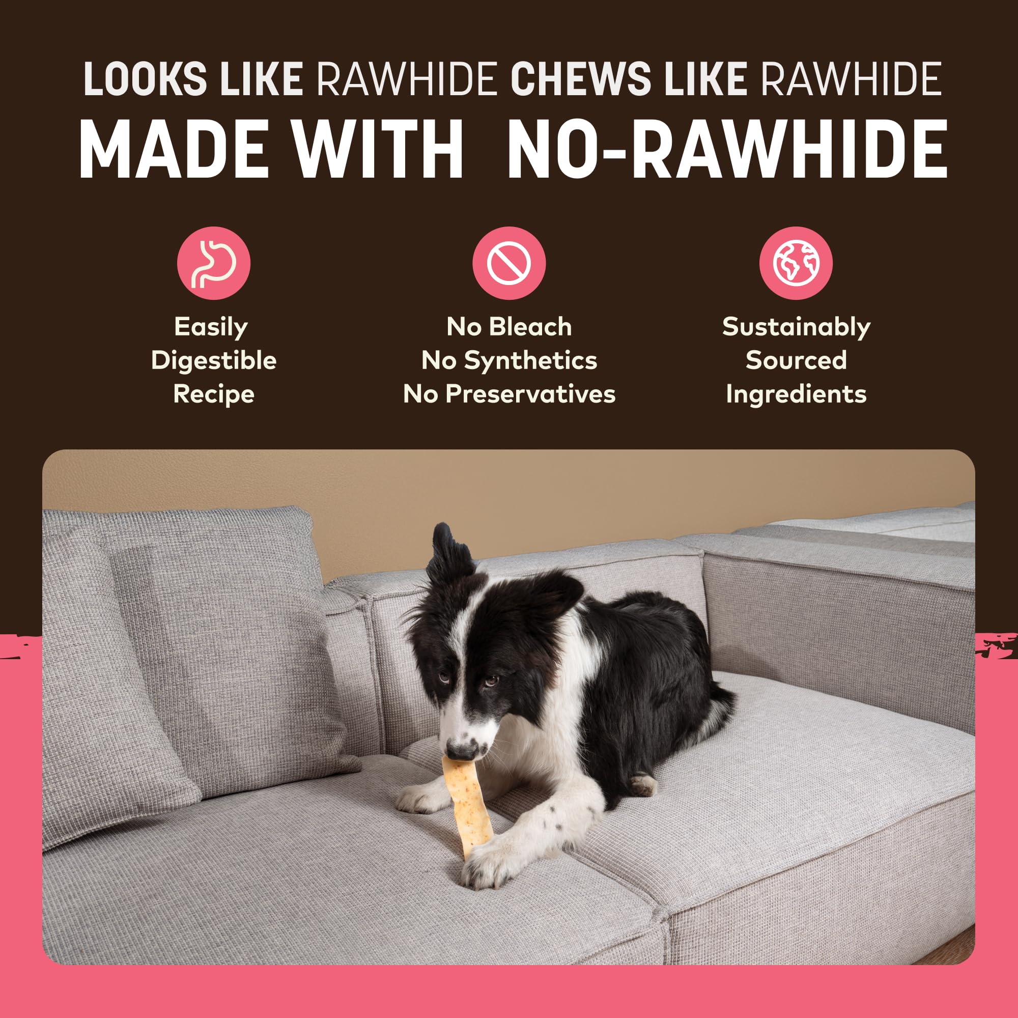 Earth Animal No-Hide Strips Salmon Recipe Natural Rawhide Alternative Dog Chew Treat, Value Pack 3.8 Oz