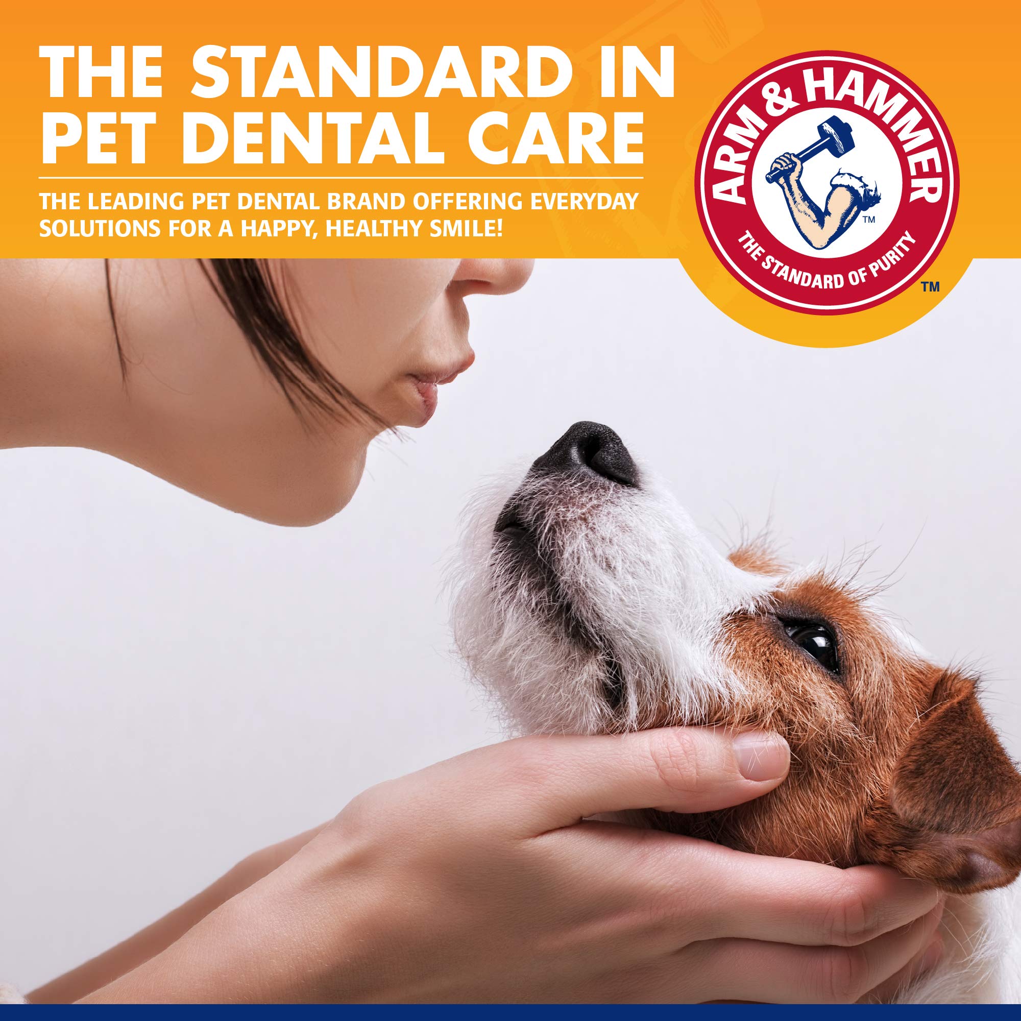 Arm & Hammer for Pets Clinical Care Travel Dental Kit for Dogs in Vanilla Ginger Flavor | Dog Toothbrush and Toothpaste Set Safe