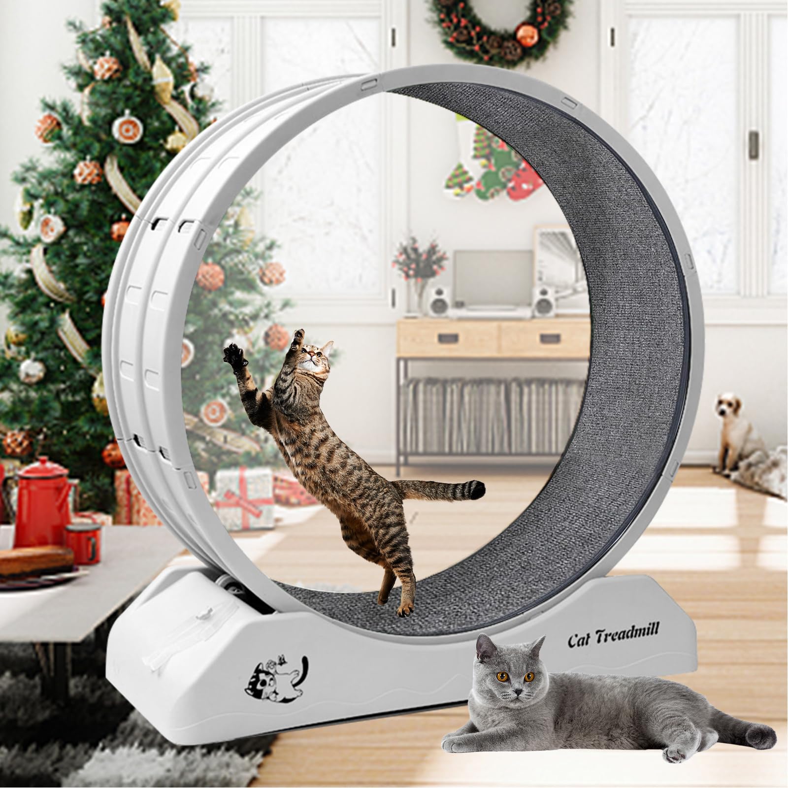 Homegroove 31.5 Inch Cat Wheel For Indoor Cats, Cat Exercise Running Treadmill Wheel With Carpeted Runway For Kittens Weight Los