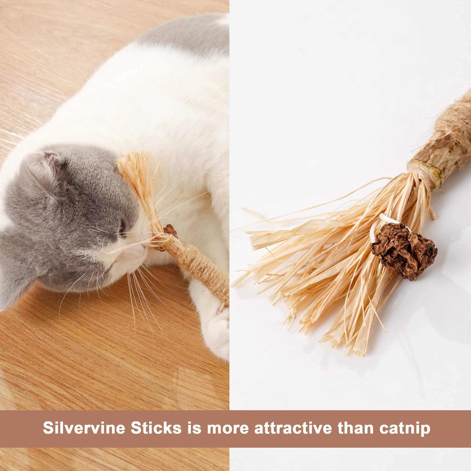 PAZS GIFT Catnip Toy Cat Toys Catnip Toy cat chew Toy cat Kicking silvervine Stick Teeth Cleaning Cute Kitten Teething Indoor I
