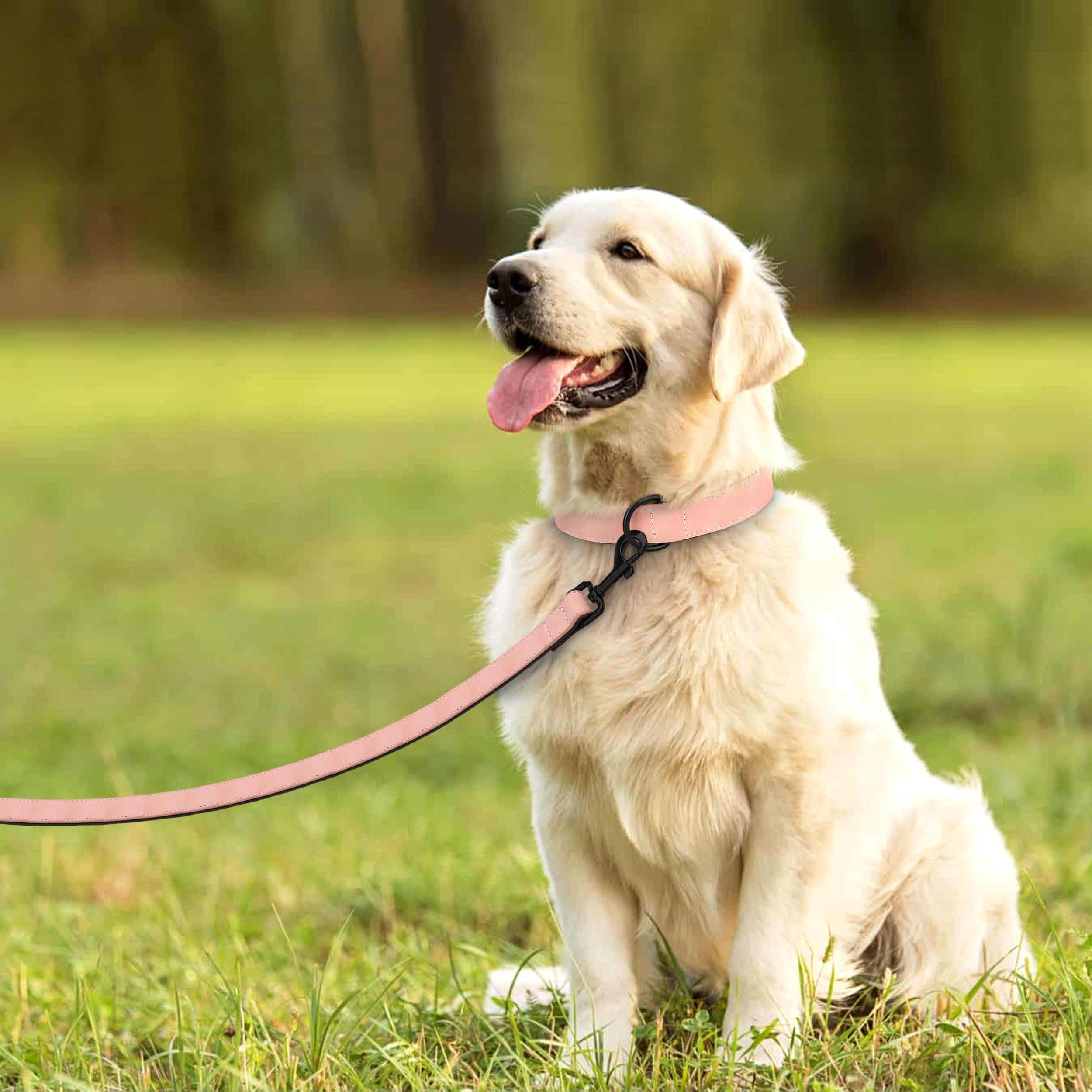 Didog Soft Padded Leather Dog Collar And Leash Set, Heavy Duty Pink And Breathable Pet Collars With 4Ft Leather Dog Leash For Sm