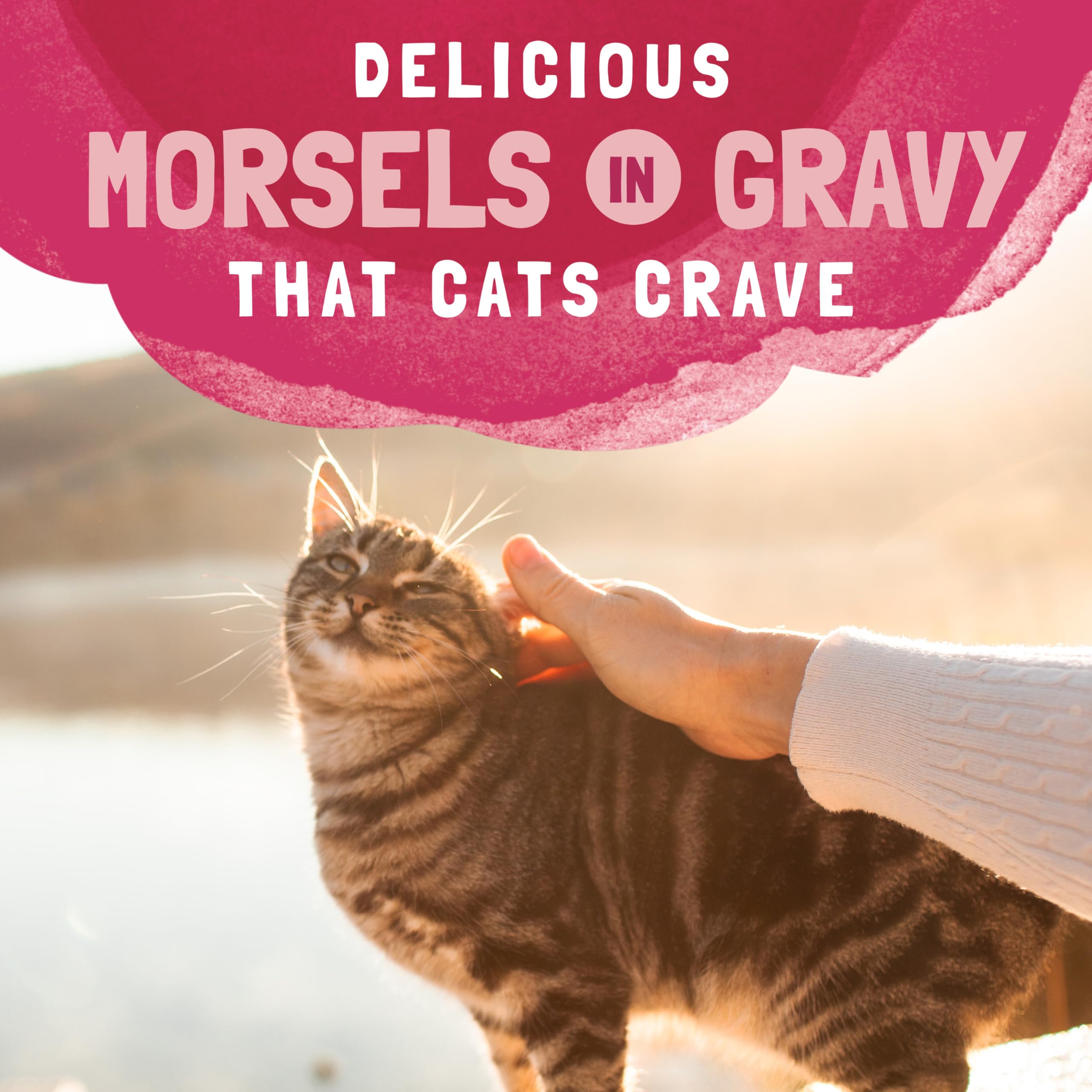 Natural Balance Original Ultra Platefulls Indoor Adult Grain Free Wet Cat Food, Salmon, Tune, Chicken & Shrimp Recipe, 3 Ounce P