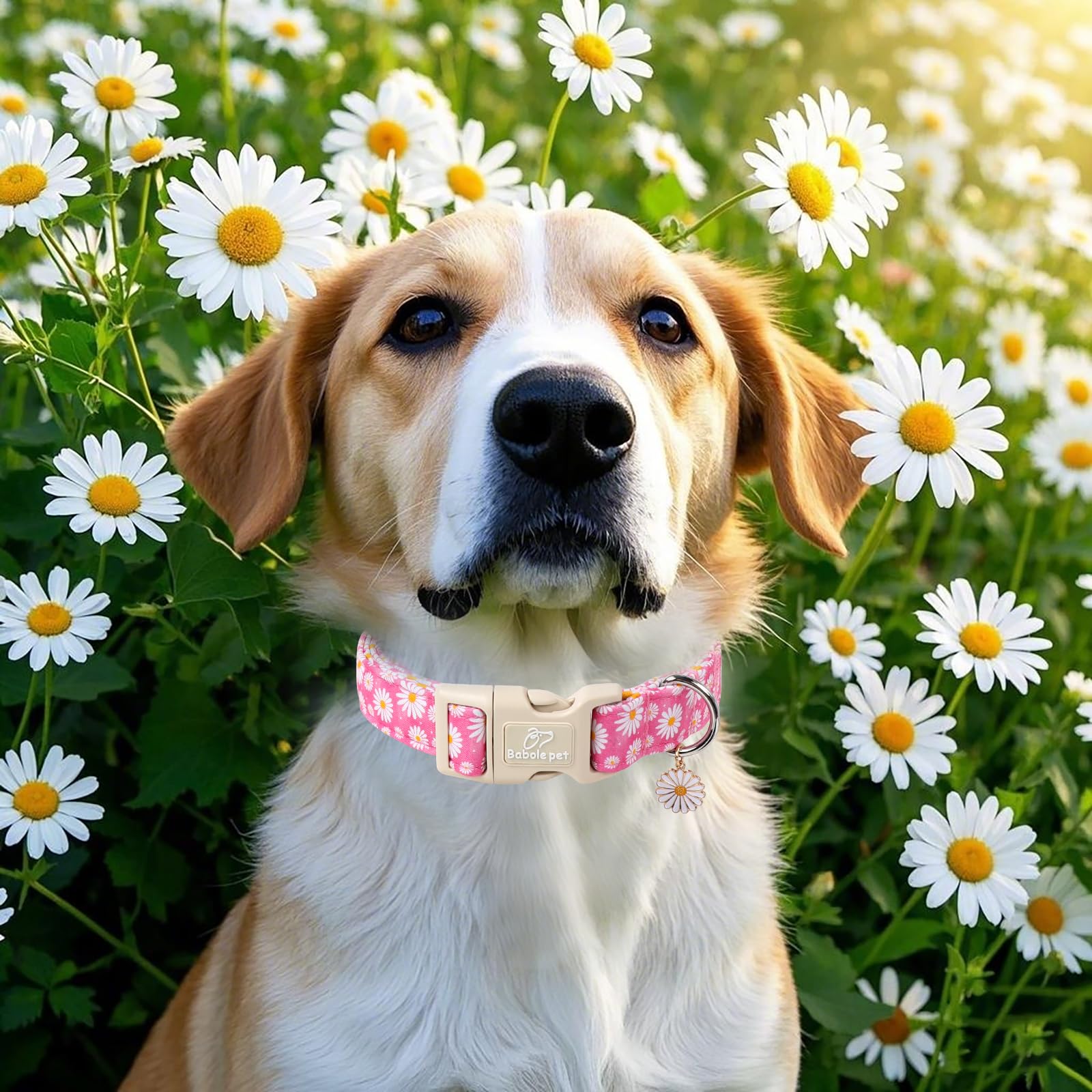Babole Pet Summer Daisy Dog Collar, Cute Floral Adjustable Pink Dog Collars For Large Dogs, Lightweight Quick-Release Buckle Col