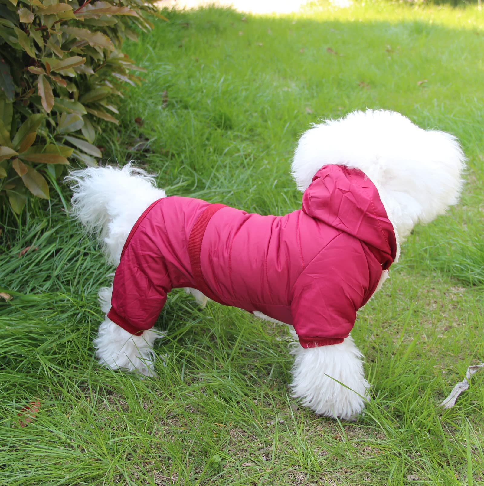Joydaog Fleece Lined Dog Coat With Detachable Hood And Detachable Hind Legs,Warm Puppy Jacket In Winter(Red S)