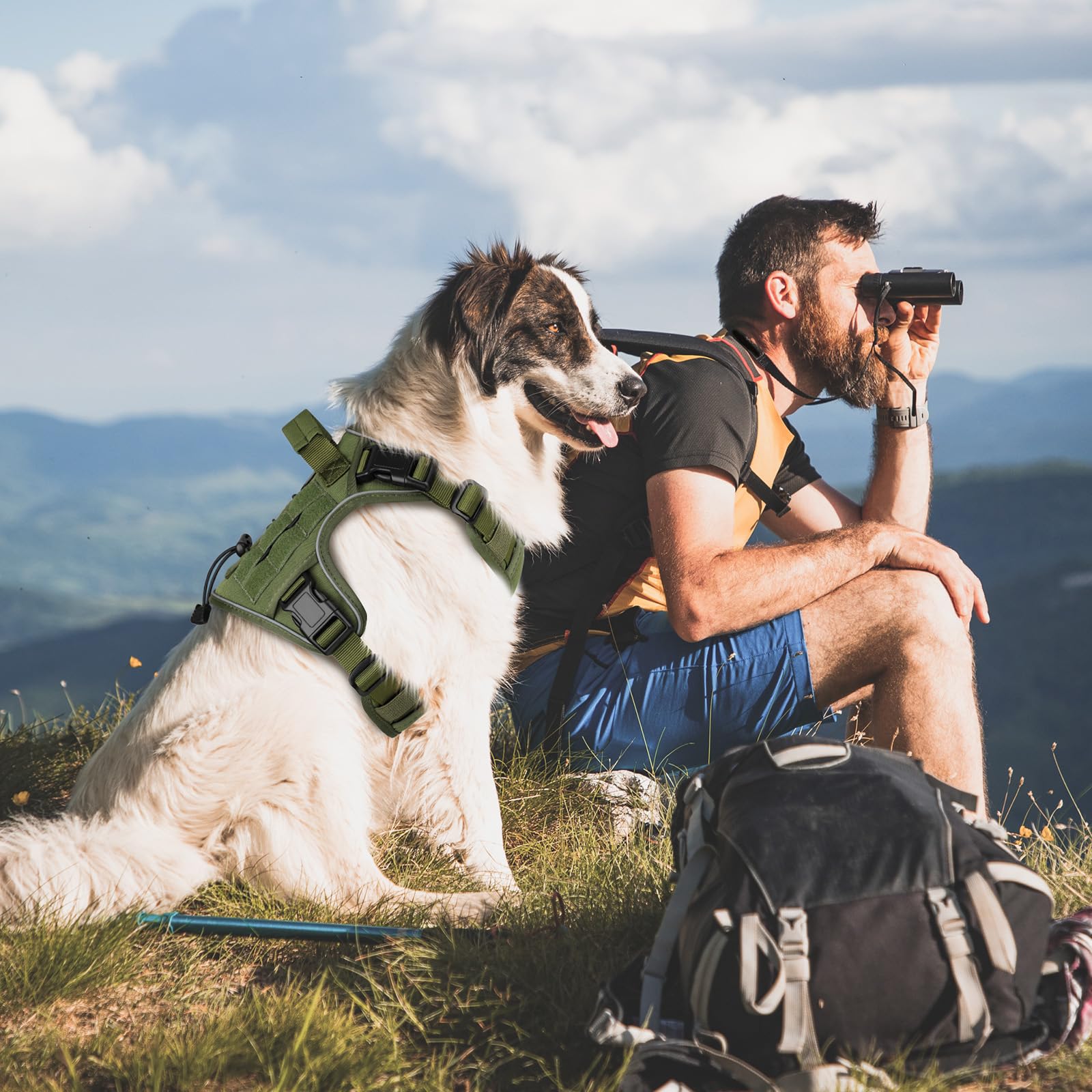 Wingoin Green Tactical Dog Harness Vest For Small Dogs No Pull Adjustable Reflective K9 Military Dog Service Dog Harnesses With Handle For Walking, Hiking, Training(S)