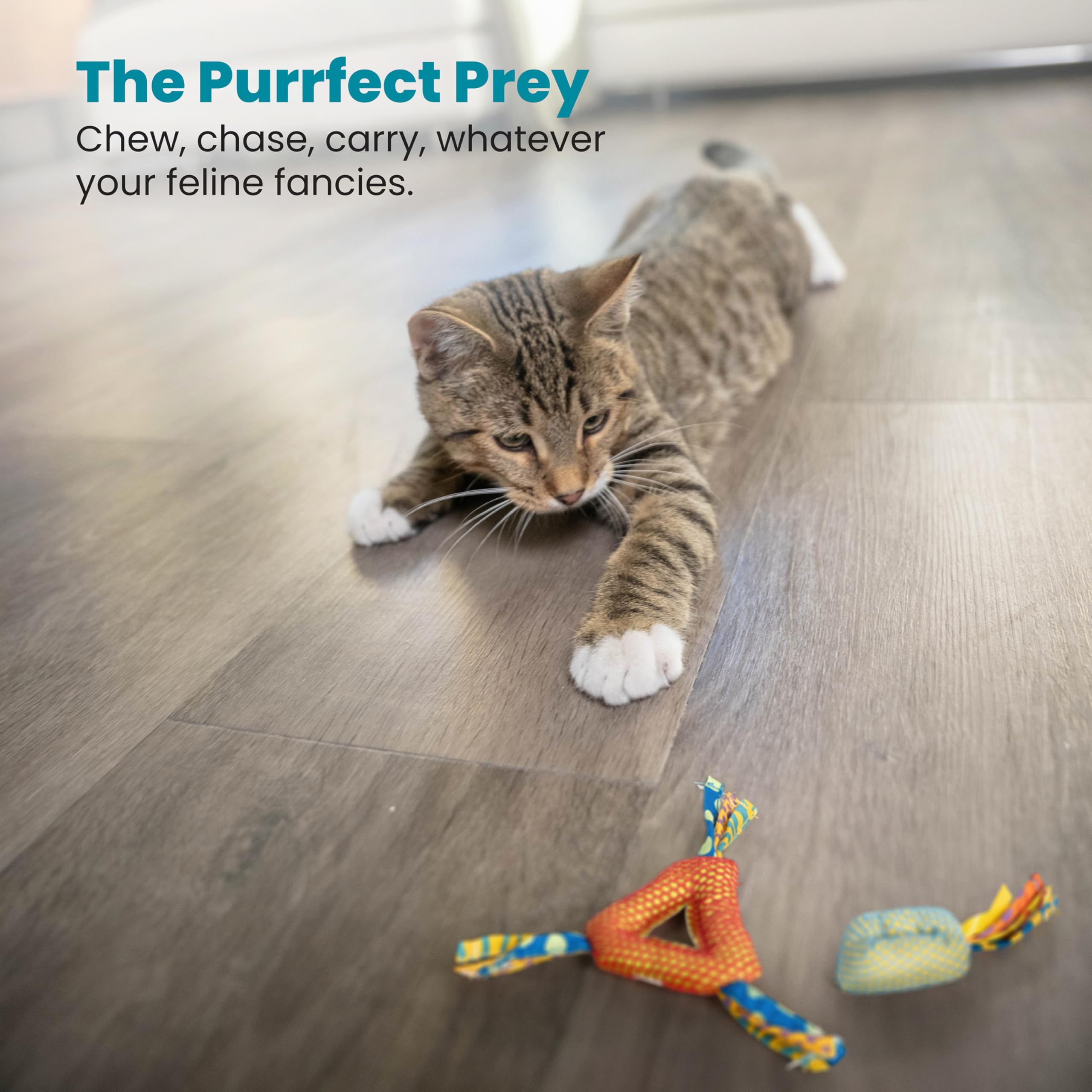 Petstages Dental Health Chews Pair