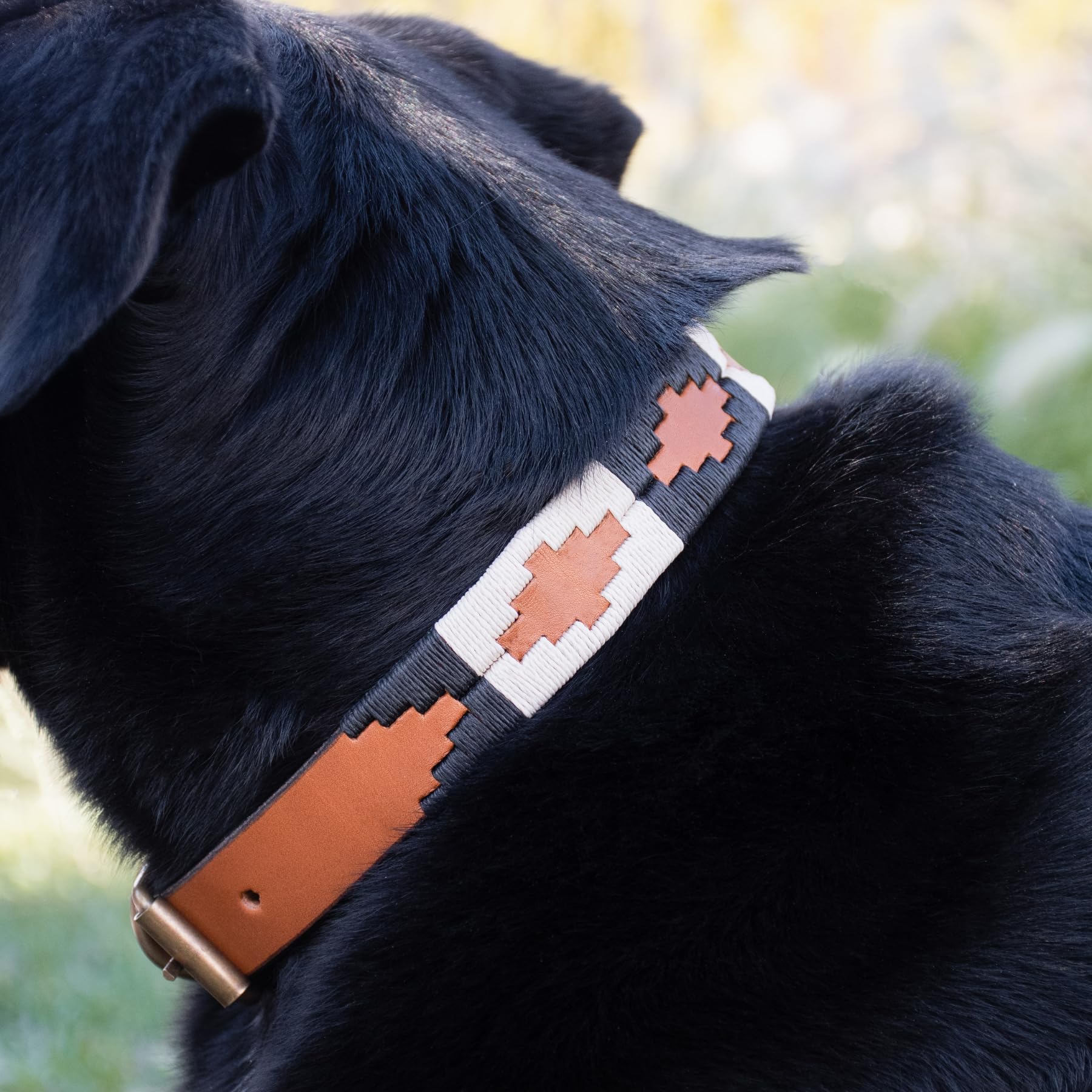 Gaucholife Polo Dog Collar Leather Hand-Stitched (Medium, Ombu)