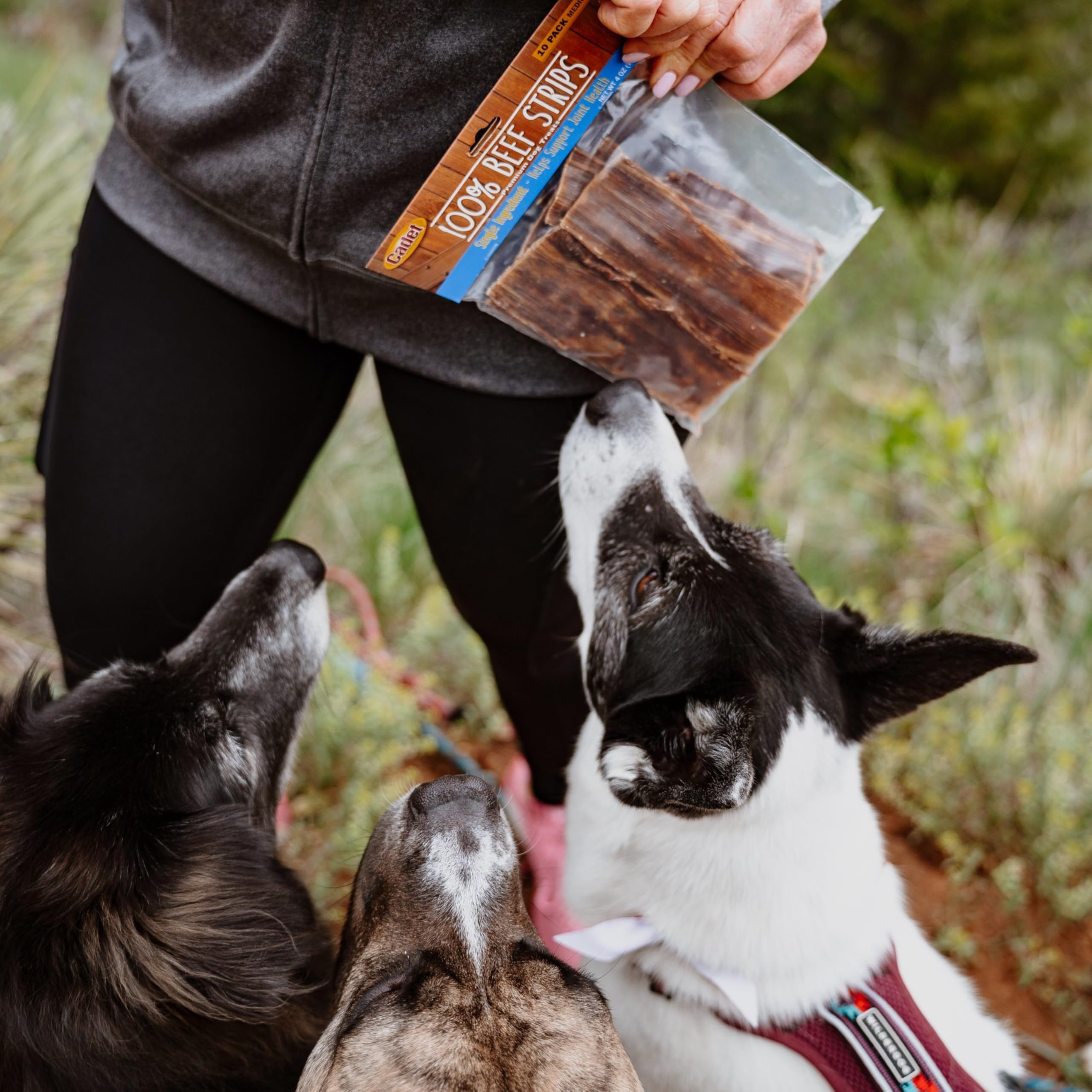Cadet 100% Beef Strips Slim Cut Dog Treats, 1 Count, C70267