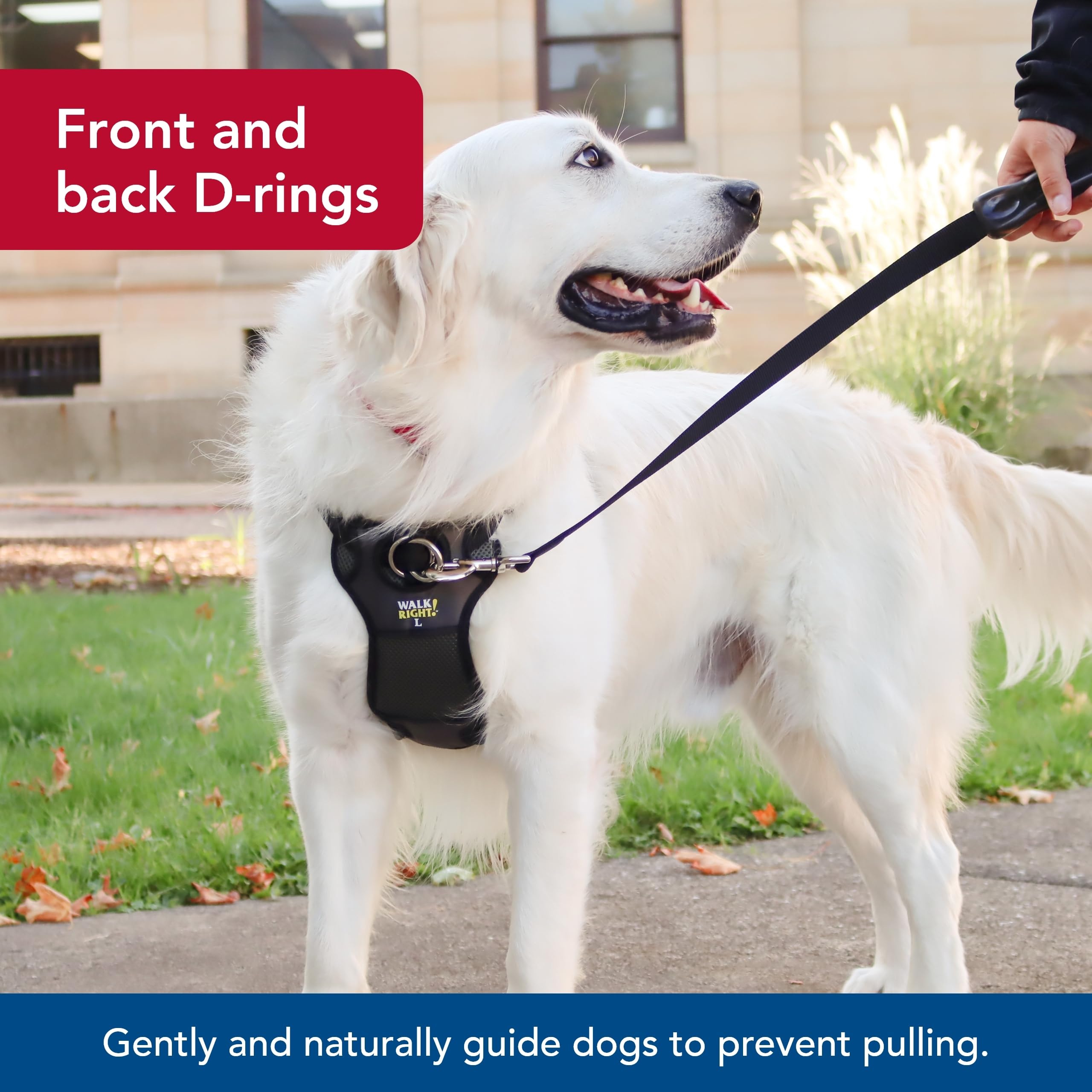 Coastal Pet Walk Right Front-Connect No-Pull Padded Dog Harness - Adjustable & Comfortable Dog Harness - Small & Large Breed Fit - Quality Pet Supplies - Red, Med (20'-30')