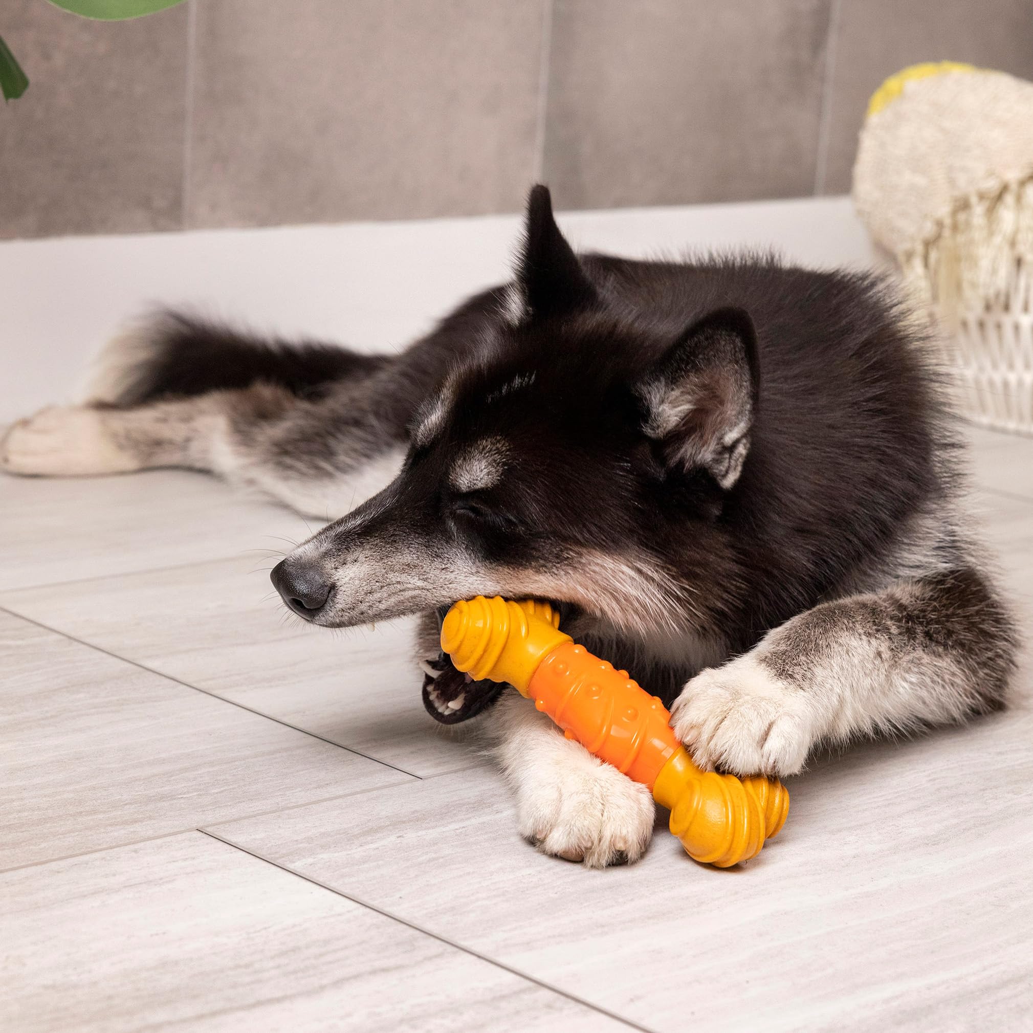 Spot Bam-Bones Dental Bone - Made With Bamboo Fiber And A Massaging Rubber Center, Durable Oral Care Dog Chew For Light Chewers & Teething Puppies Under 40Lbs, 7In, Allergen Free Peanut Butter Flavor