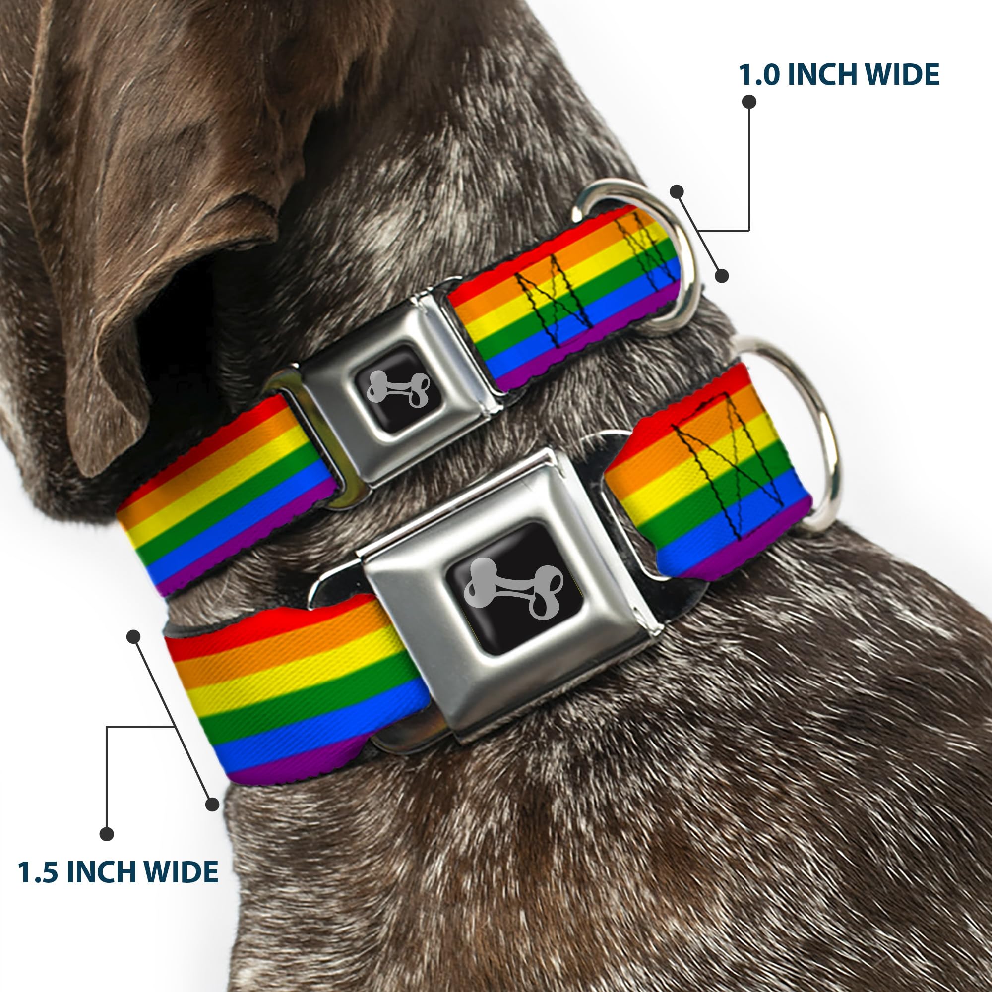 Buckle-Down Dog Collar Seatbelt Buckle Flag Pride Rainbow 15 To 26 Inches 1.0 Inch Wide, L - Fits 15-26 - 1.0 Wide, Multicol