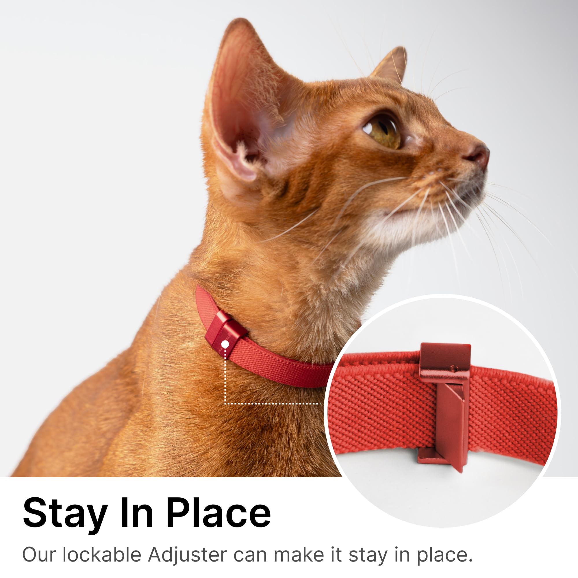 Buddyarmor Safety Cat Collar Pro, Lightweight Elastic Release Non Breakaway Cat Collar Adjustable With Snap Fastener For Kitten