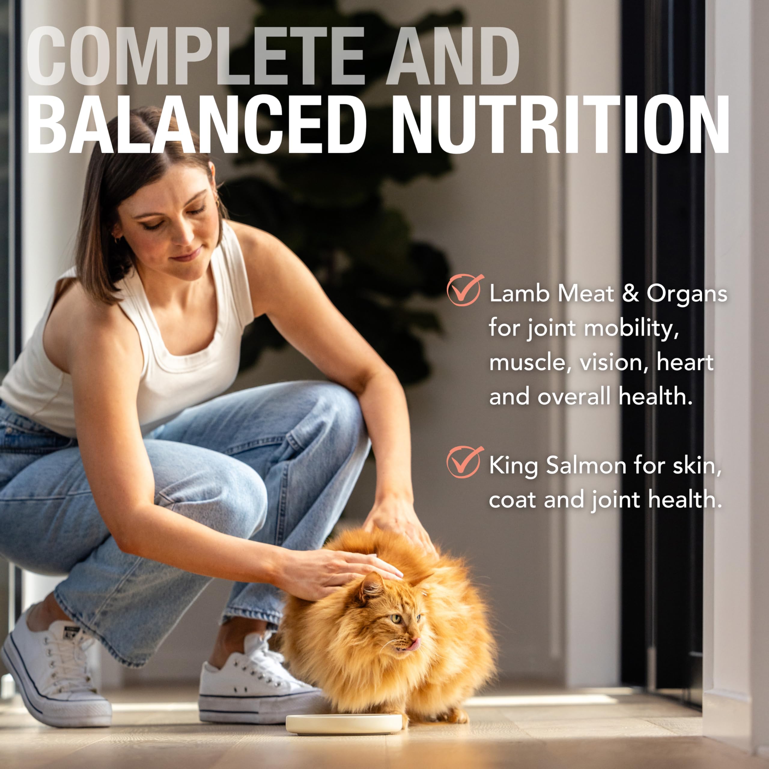Feline Natural Pate Wet Food for Cats - Lamb & Salmon Feast, Grain-Free, High Moisture, 6 Ounce (Pack of 12), New Zealand Made P