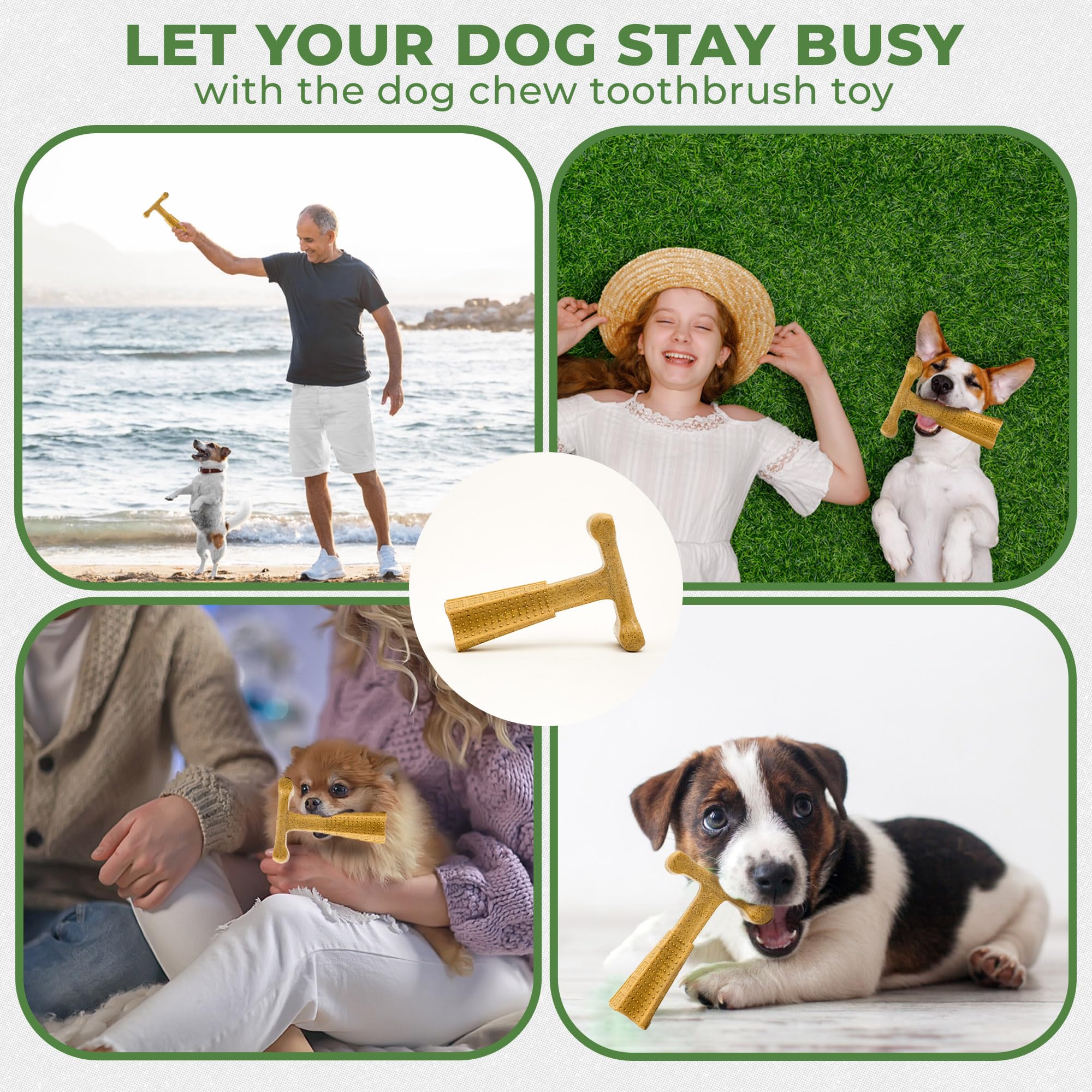 Spot Bam-Bones Plus T Bone - Bamboo Fiber & Nylon, Durable Long Lasting Dog Chew For Aggressive Chewers - Great Toy Foradult Dog