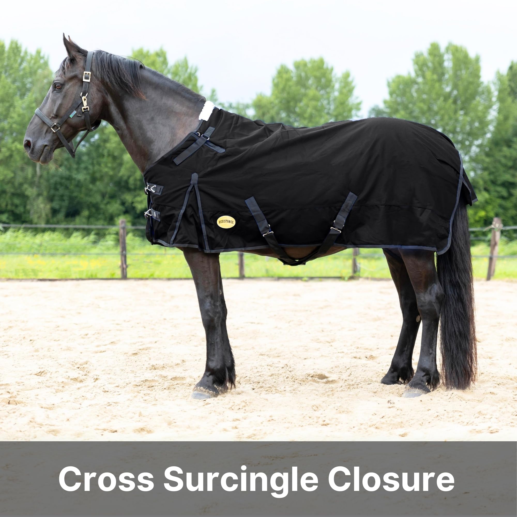 RESISTANCE Premium 1200 Denier Waterproof Horse Turnout Blanket with 300g Polyfill & Adjustable Buckle Closure