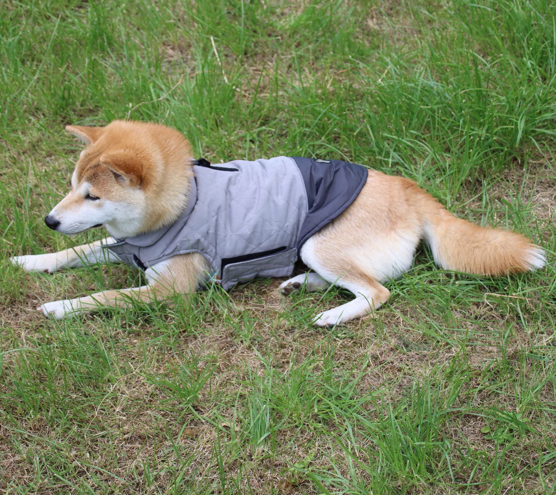 Vecomfy Reversible Dog Coats For Small Dogs Waterproof Warm Puppy Jacket For Cold Winter,Grey S