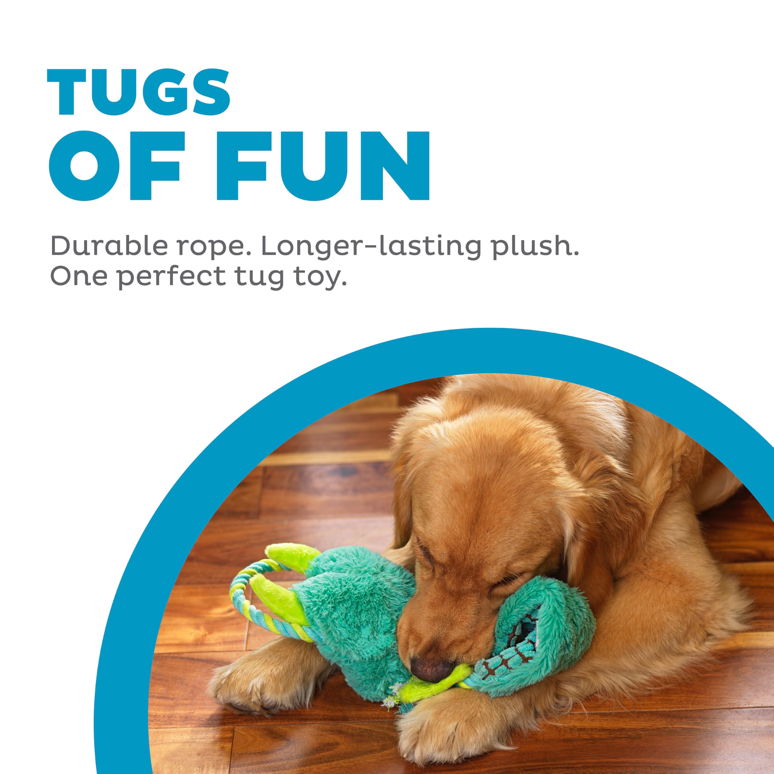 Outward Hound Ropiez Rope Interactive Dog Tug Toy For Tugging Squeaky Fun, Dragon, Multicolored, Large