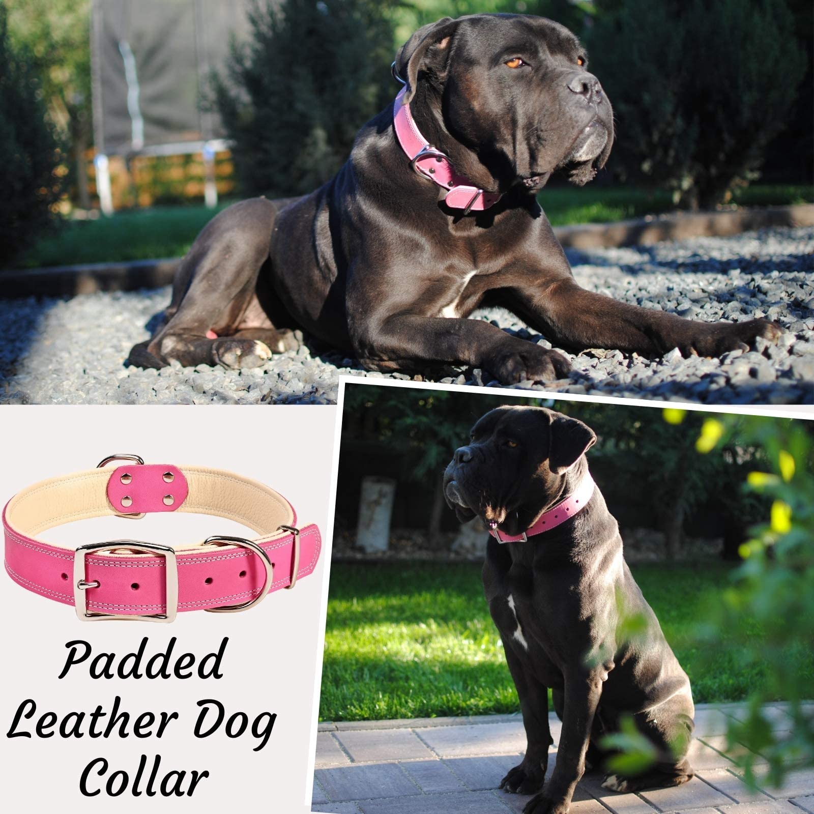 Adityna Heavy Duty Real Leather Dog Collar For Extra Large Dogs - Pink Xl Collar - Soft And Strong Thick Dog Collar With Double Metal Buckle