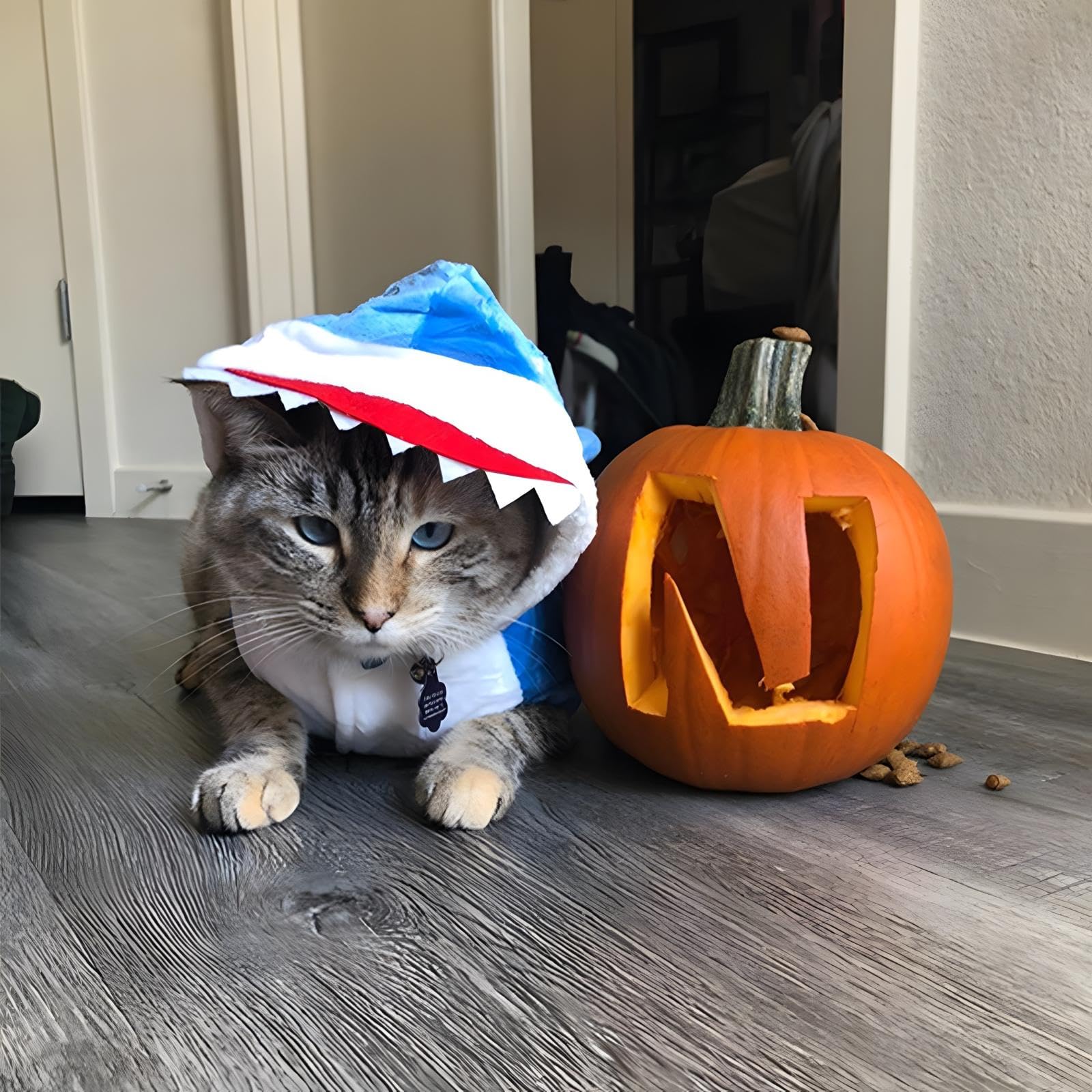 Nacoco Halloween Pet Shark Costume - Dog Cute Clothes Hoodie Cat Warm Outfit Coat Apparel For Small Medium Large Dogs And Cats (Grey, M)