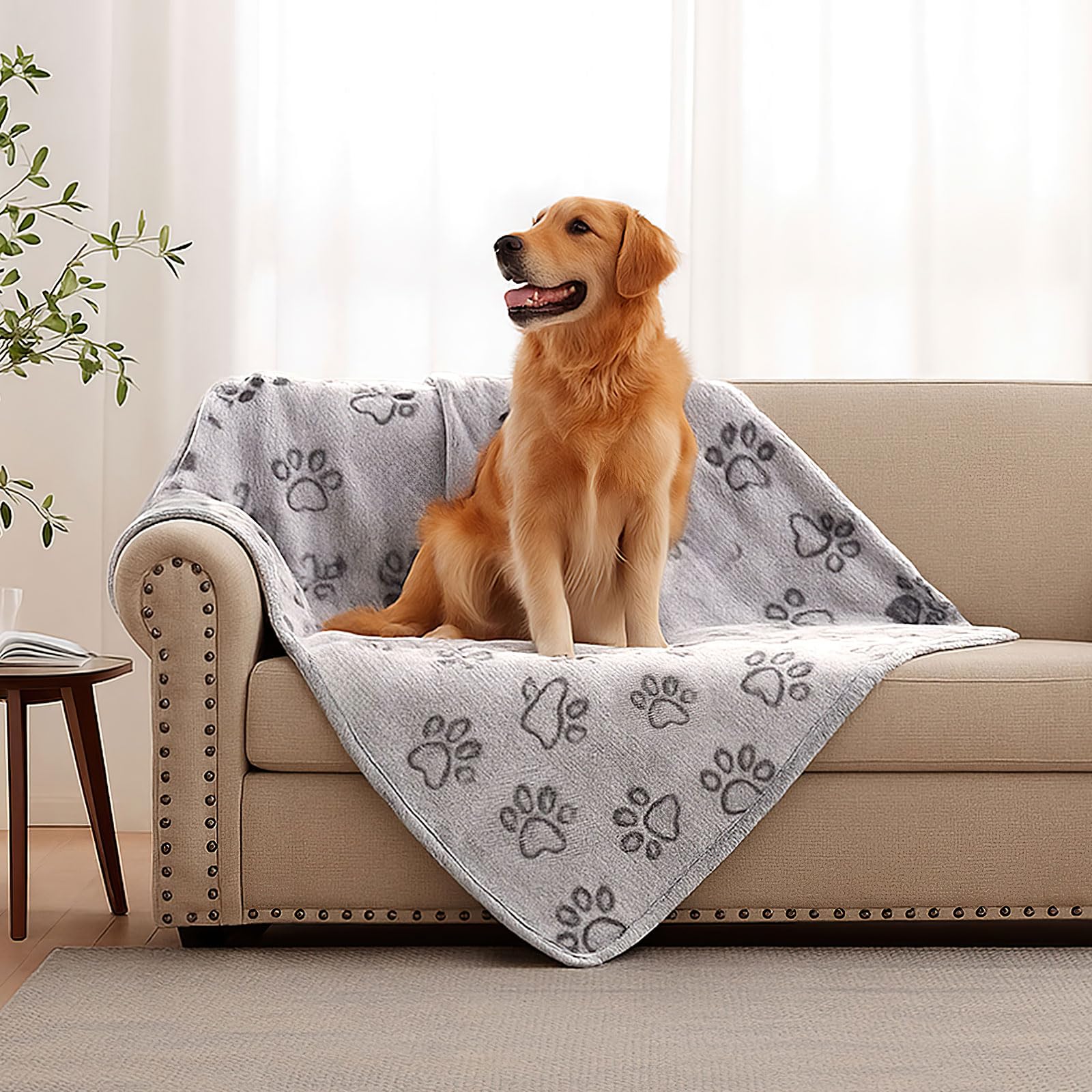 41 x 30 Dog Blankets for Medium Dogs, Cat, Premium Soft Dog Blankets for Small Dog Washable, Puppy Blanket Dogs Essentials for P
