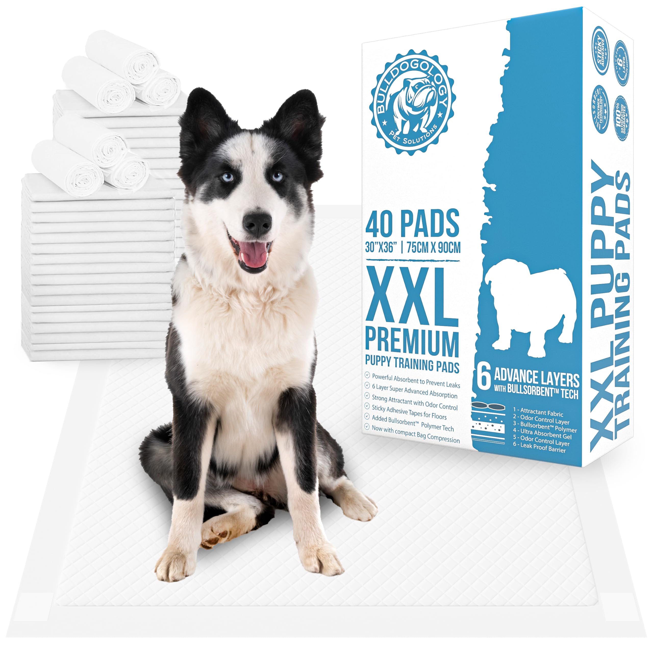 Bulldogology Premium XXL Puppy Pads with Adhesive Tabs - Dog Pads Extra Large (30x36) - Leak Proof Dog Pee Pads Extra Large - Ul