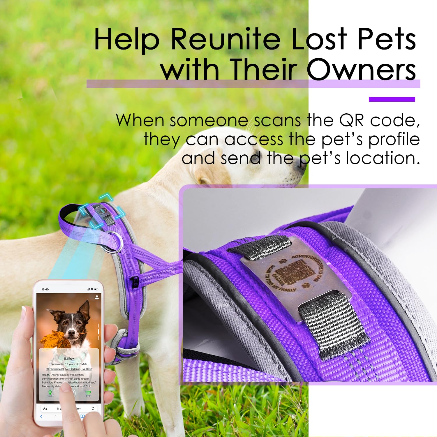 Adventuremore Medium Dog Harness - No Pull, Reflective, Escape Proof With Qr Code Dog Tag, Adjustable Front Clip Handle For Trai