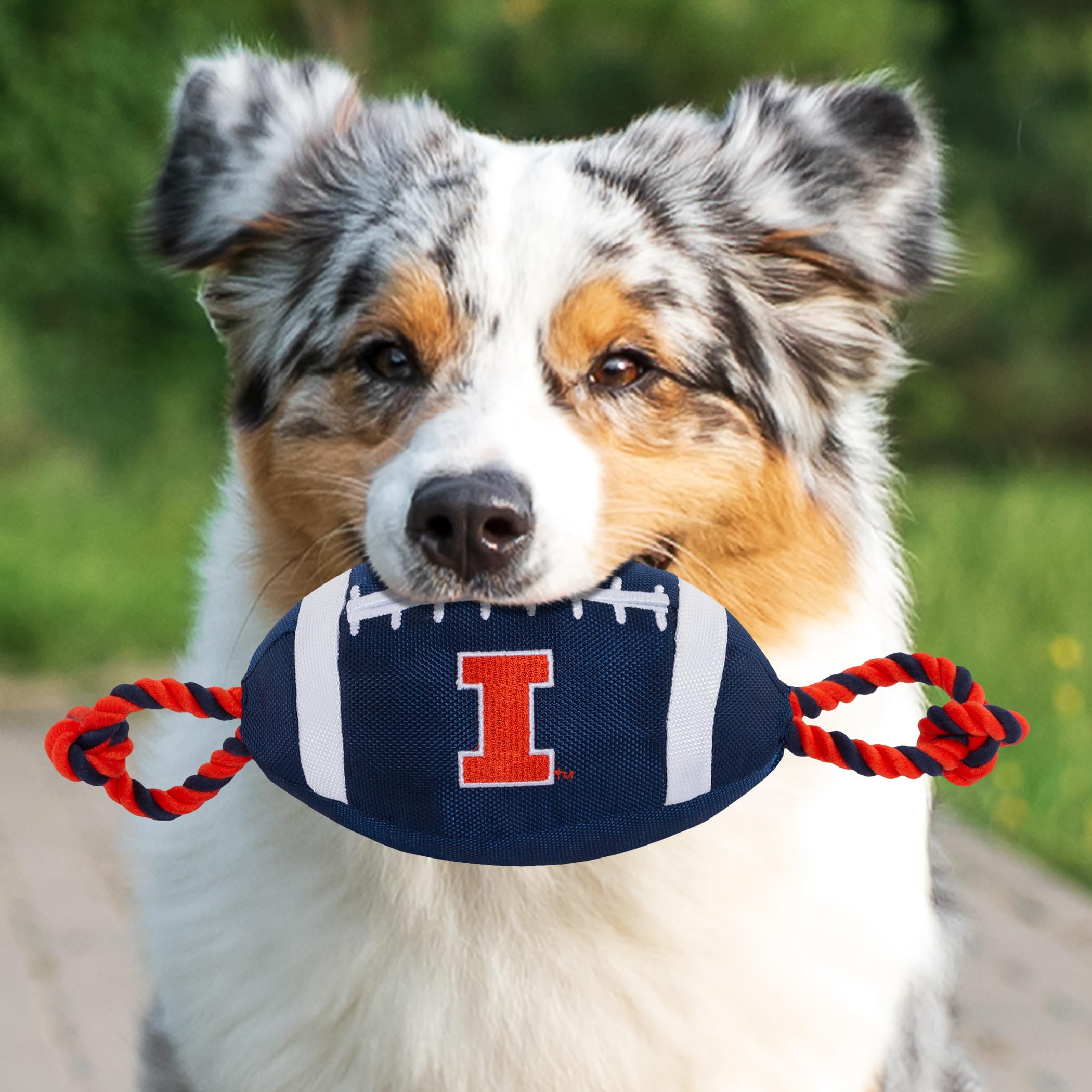 Pets First Ncaa Illinois Fighting Illini Football Dog Toy, Tough Quality Nylon Materials, Strong Pull Ropes, Inner Squeaker, Col