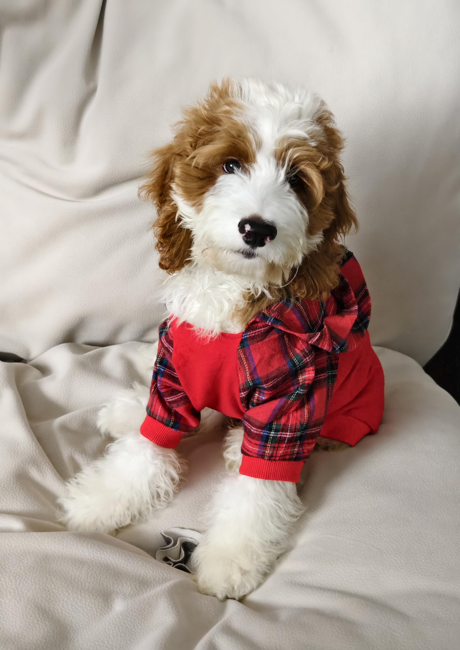 Fitwarm Tartan Plaid Dog Hoodie, Dog Clothes For Small Dogs Girl Boy, Pet Sweatshirt With Hood, Cat Winter Outfit, Red, Green, X