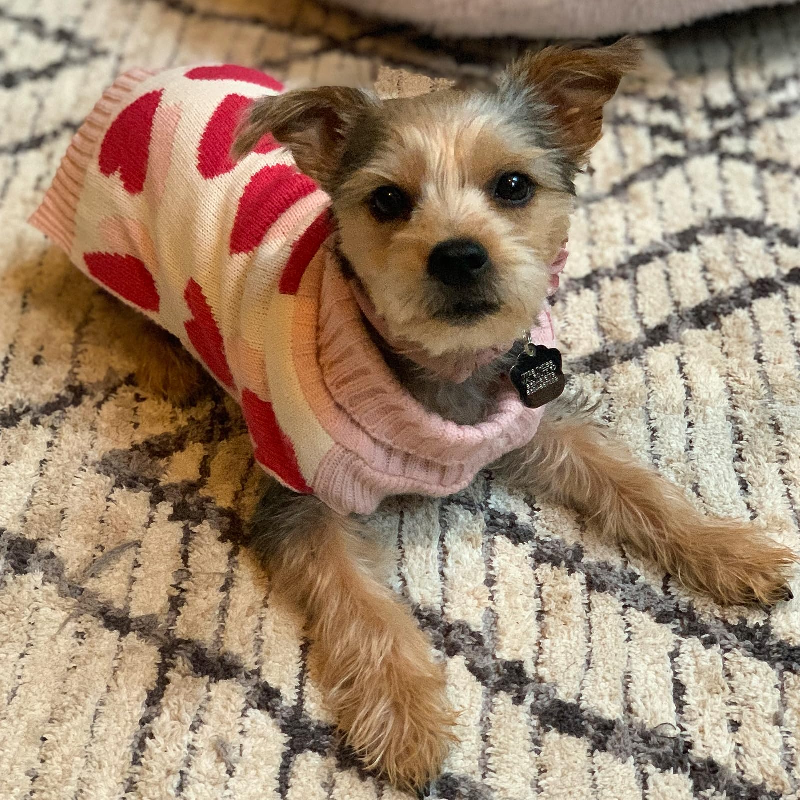 KYEESE Valentine Dog Sweater for Small Dogs, Red Heart Design, Leash Hole, Size S