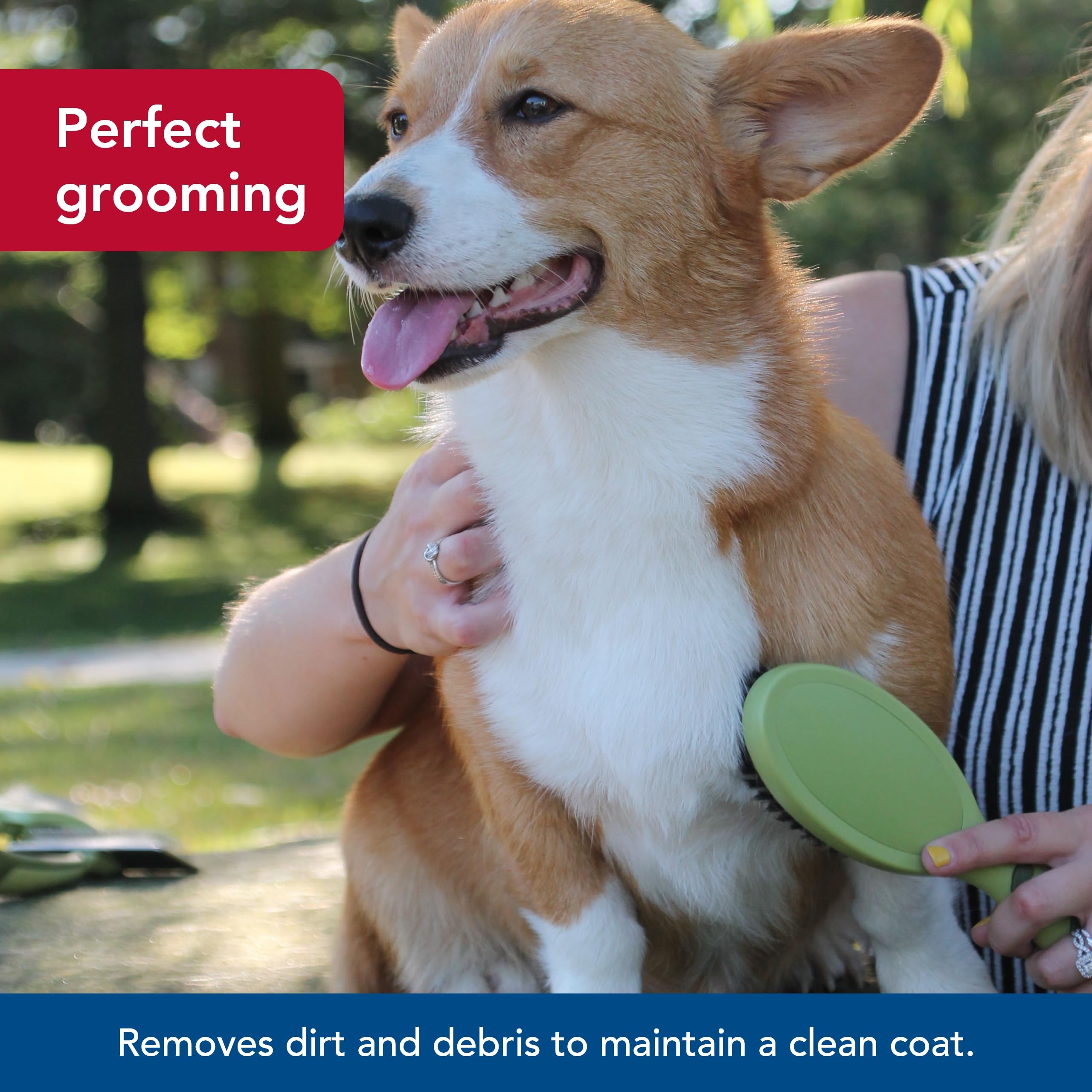 Coastal Pet - Safari - Bristle Dog Brush, Brush, Large (9' L X 2.625' W)