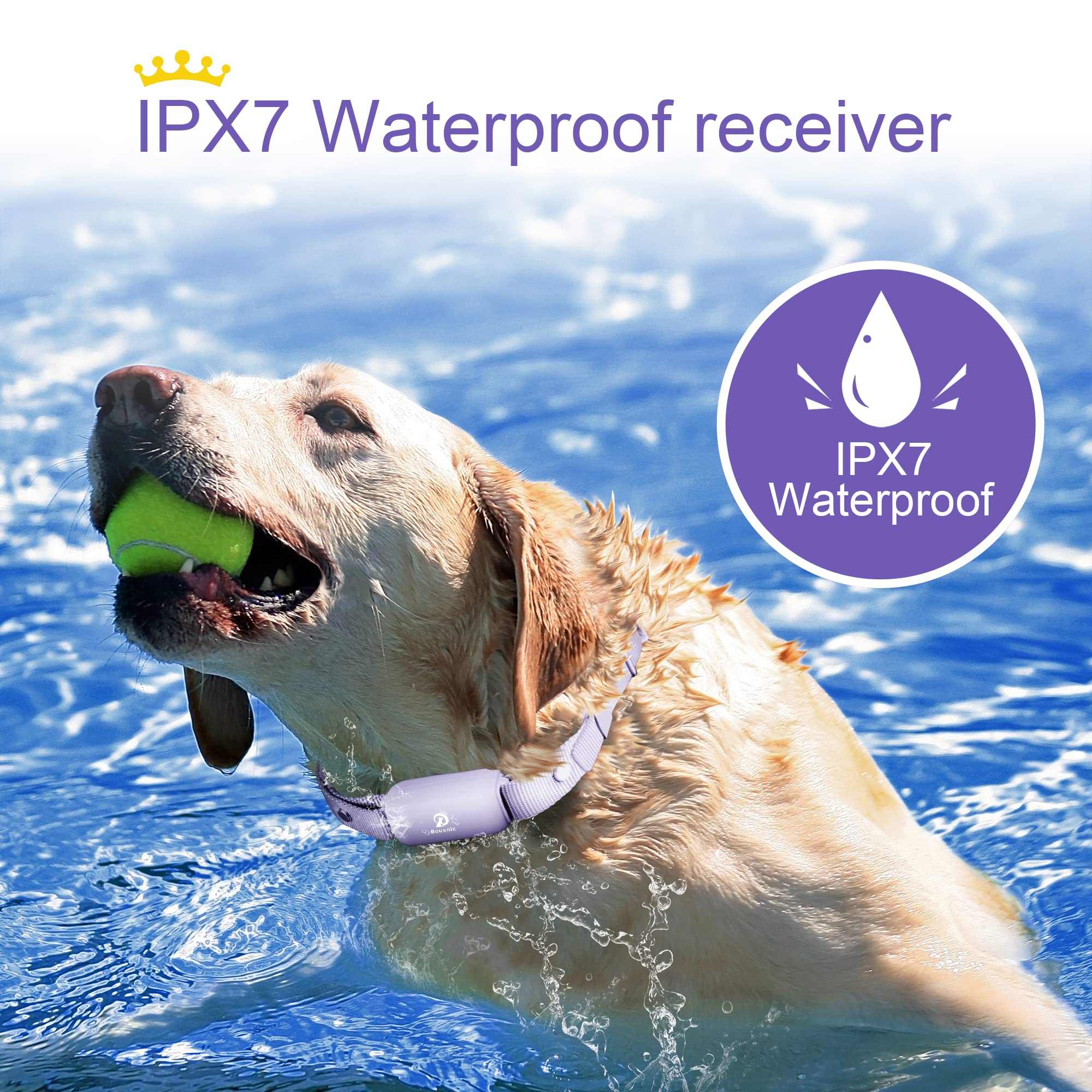 Bousnic Waterproof Rechargeable Shock Collar for Dogs - Remote Training Collar with Beep, Vibration, Safe Shock Modes (Purple, 8-120 lbs)