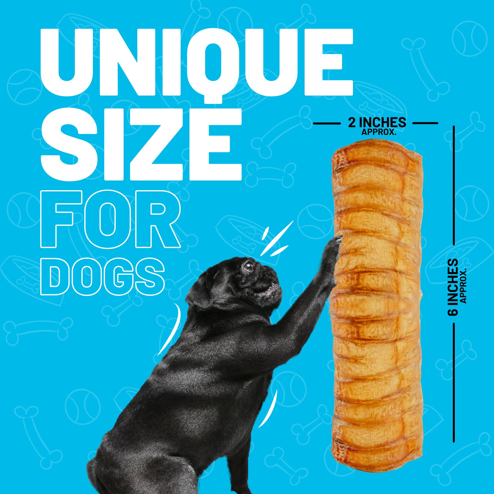 Sitka Farms Beef Split Trachea Canoe 6 - 20 Pieces - Dental Health Treat - Bone and Chews - 100% Natural Premium Dog Treat Long