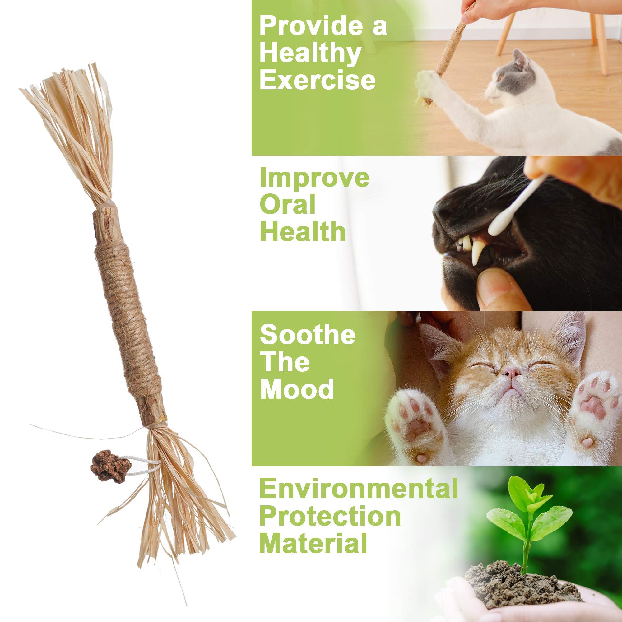 PAZS GIFT Catnip Toy Cat Toys Catnip Toy cat chew Toy cat Kicking silvervine Stick Teeth Cleaning Cute Kitten Teething Indoor I