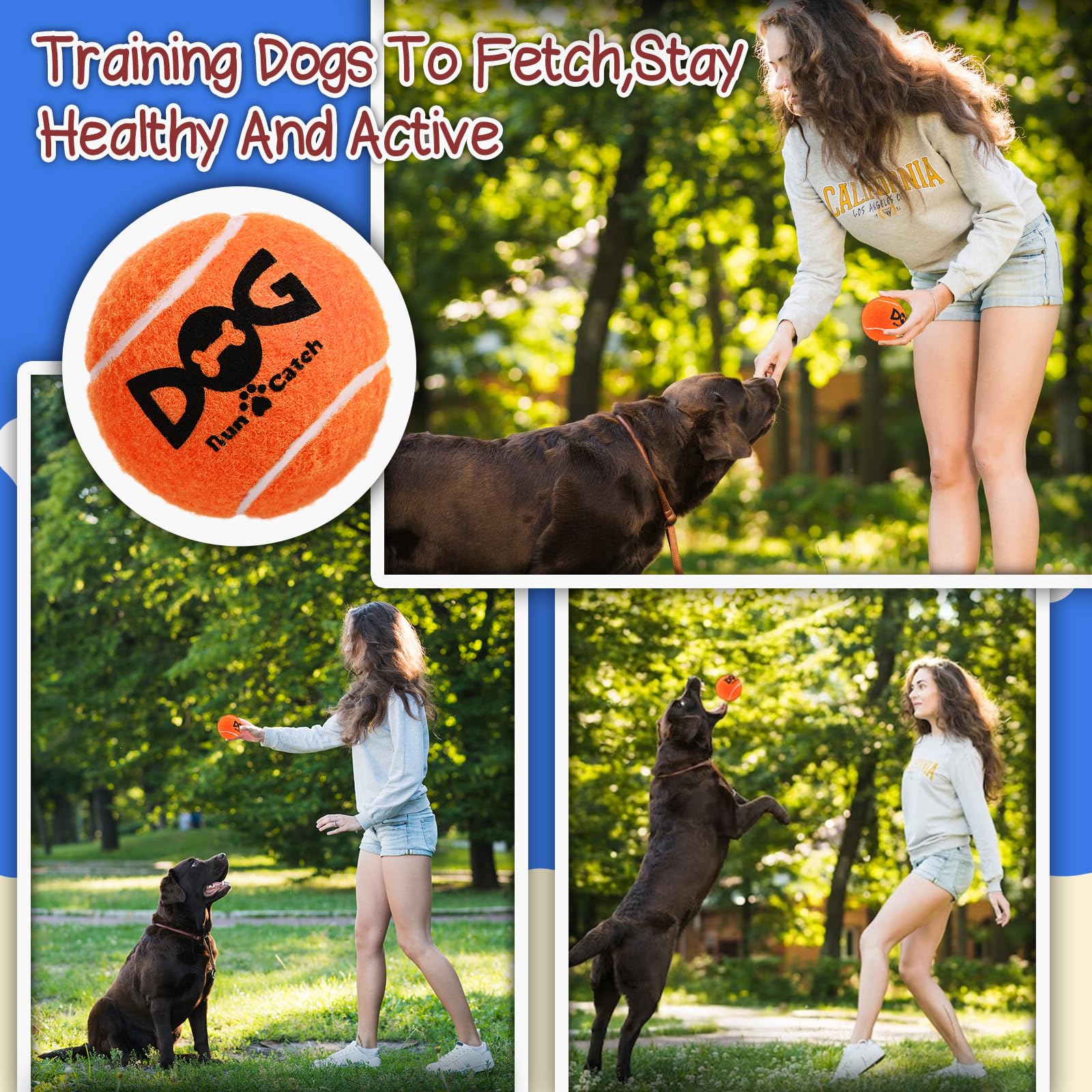 INSUM Squeaky Dog Balls - Multicolor Rubber Tennis Balls, Large - 3.0'', 4 Pack