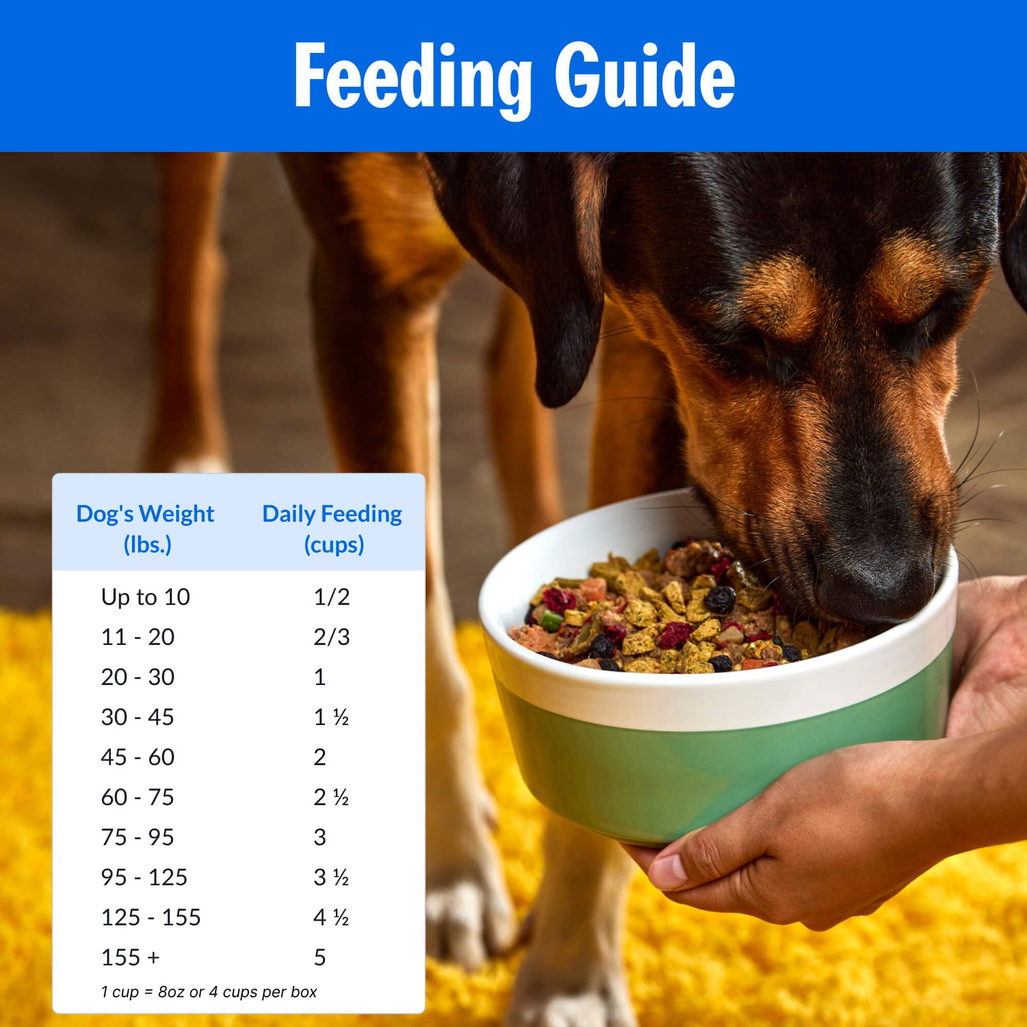 PetPlate Trail Blazin Beef FreshBaked Dry Dog Food Grain-Inclusive, Gently Baked and Air-Dried Human Grade Dog Food, Formulated