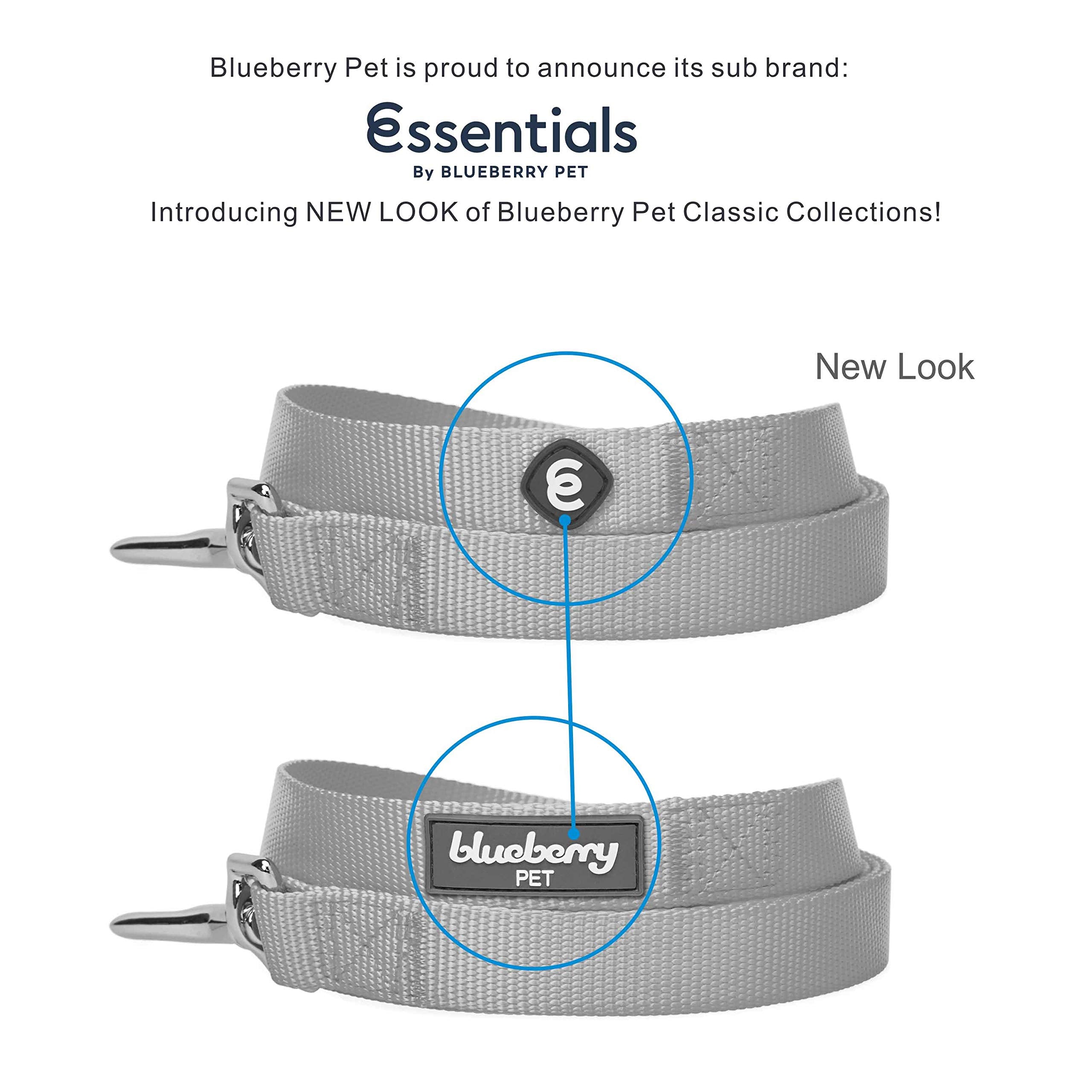 Blueberry Pet Essentials 21 Colors Durable Classic Dog Leash 5 Ft X 3/8', Turquoise, X-Small, Basic Nylon Leashes For Puppies