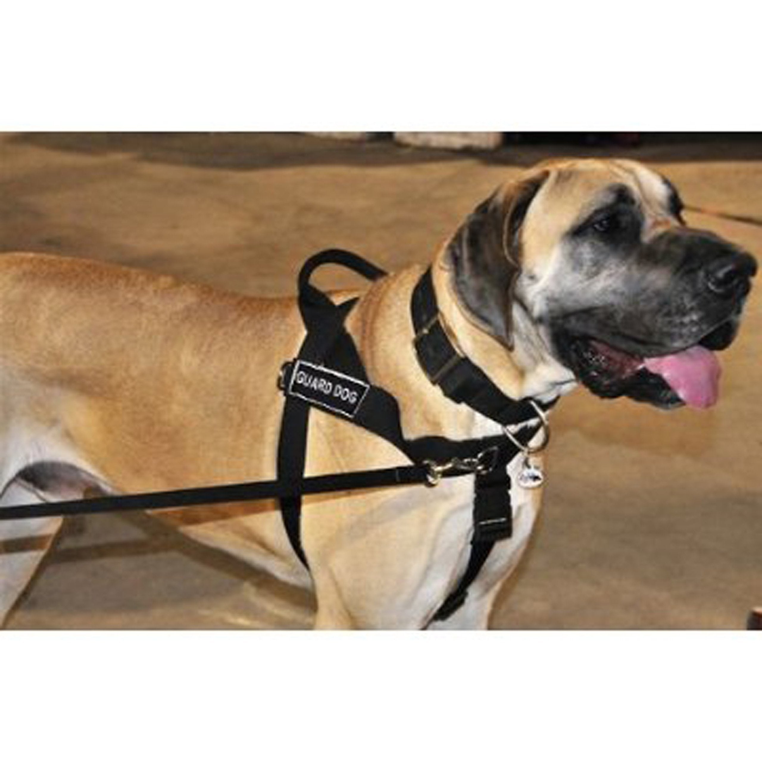 DT Universal No Pull Dog Harness, Guard Dog, Black, Large, Fits Girth Size: 31-Inch to 42-Inch