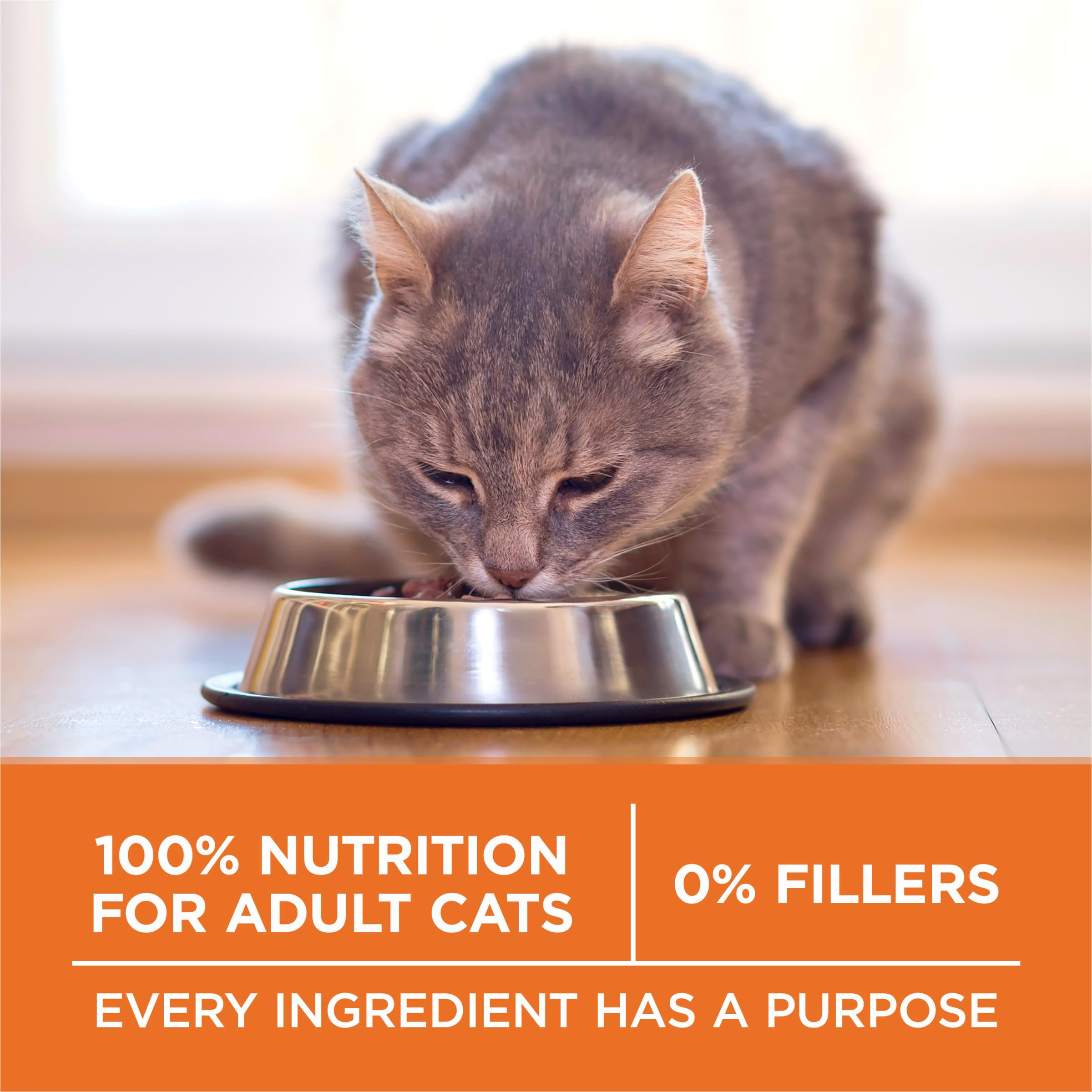 Purina ONE High Protein, Healthy Weight Dry Cat Food, +Plus Ideal Weight With Turkey - 7 lb. Bag