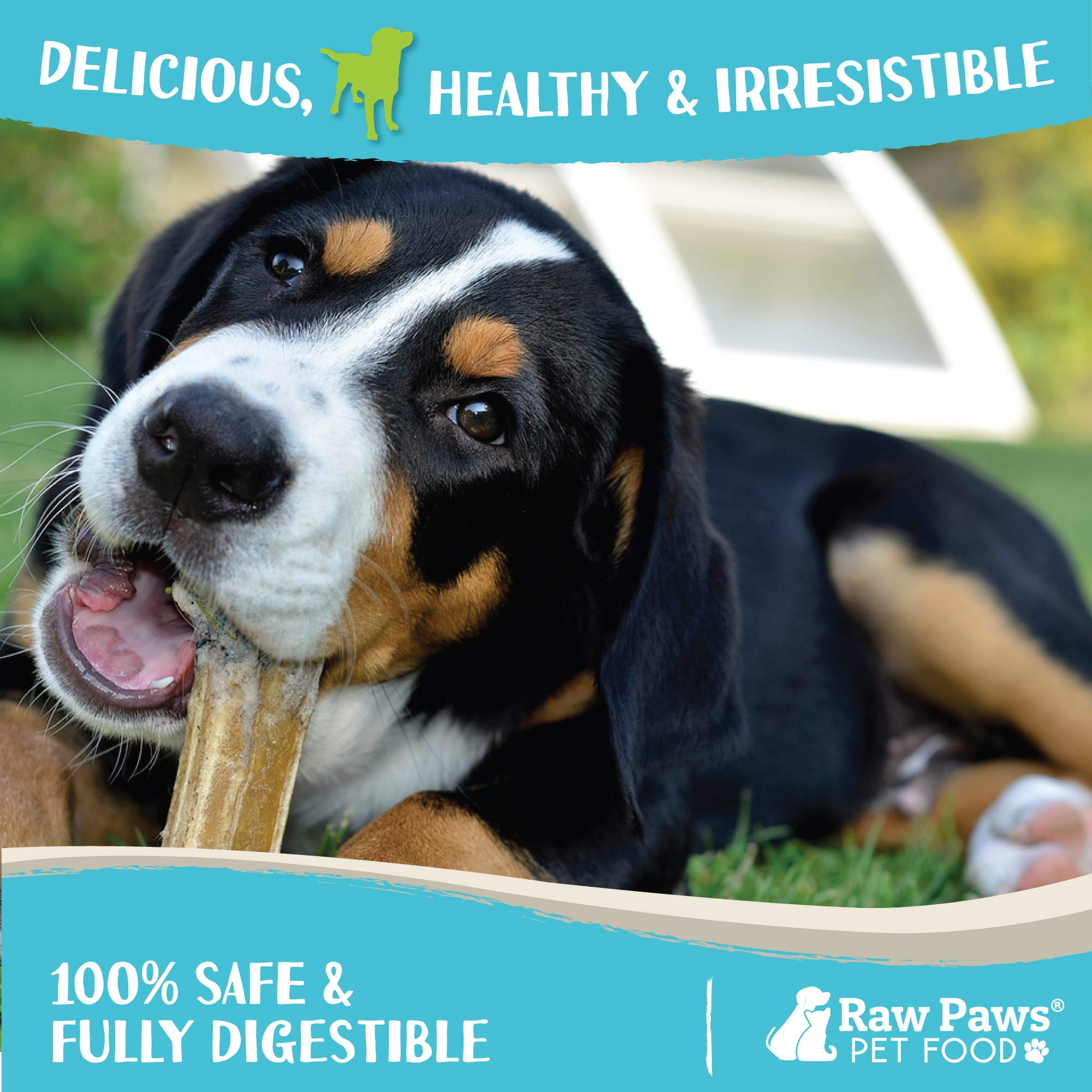 Raw Paws Compressed Rawhide Dog Chew Variety Pack, 10 Pack - 10 Compressed Rawhide Sticks & 10 Bones - Large Dog Bones for Aggre