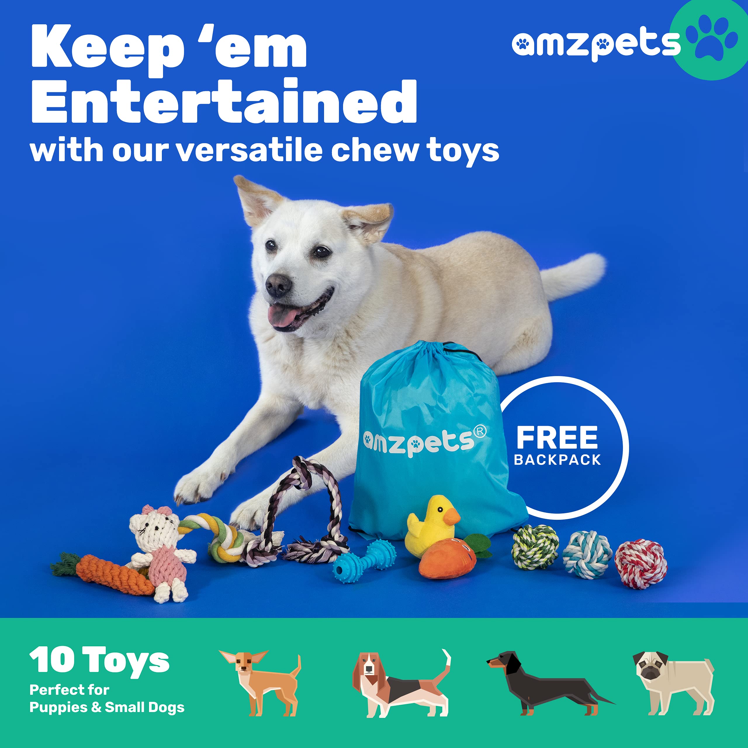Amzpets 10 Dog Toys For Small Dogs And Puppies, Squeaky Dog Toys Rope Toys For Plush Games, With Chewing Ropes/Balls/Rubber Bone