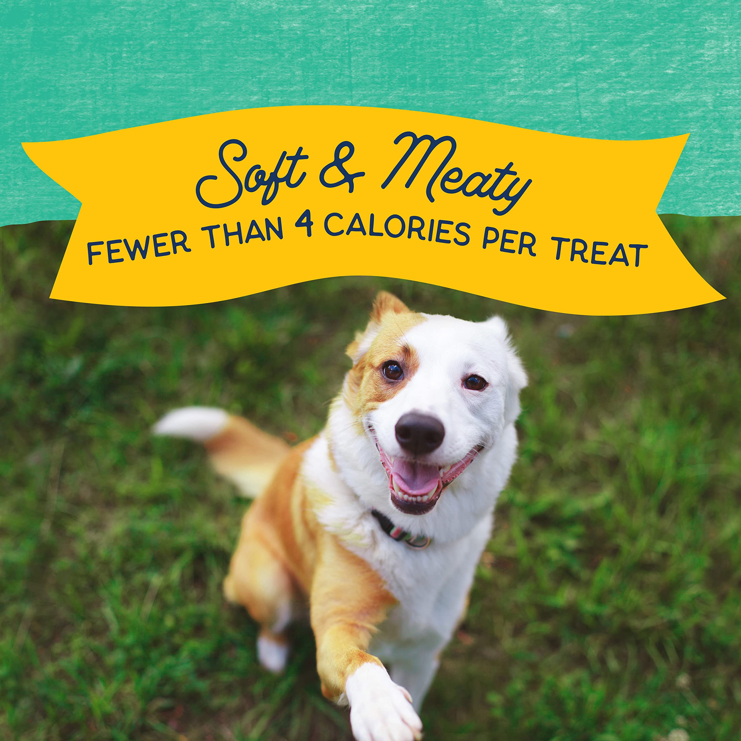 Natural Balance Limited Ingredient Diets Mini Rewards Soft and Chewy Dog Treats (Chicken, 3 Pack / 5.3-Ounces Each)