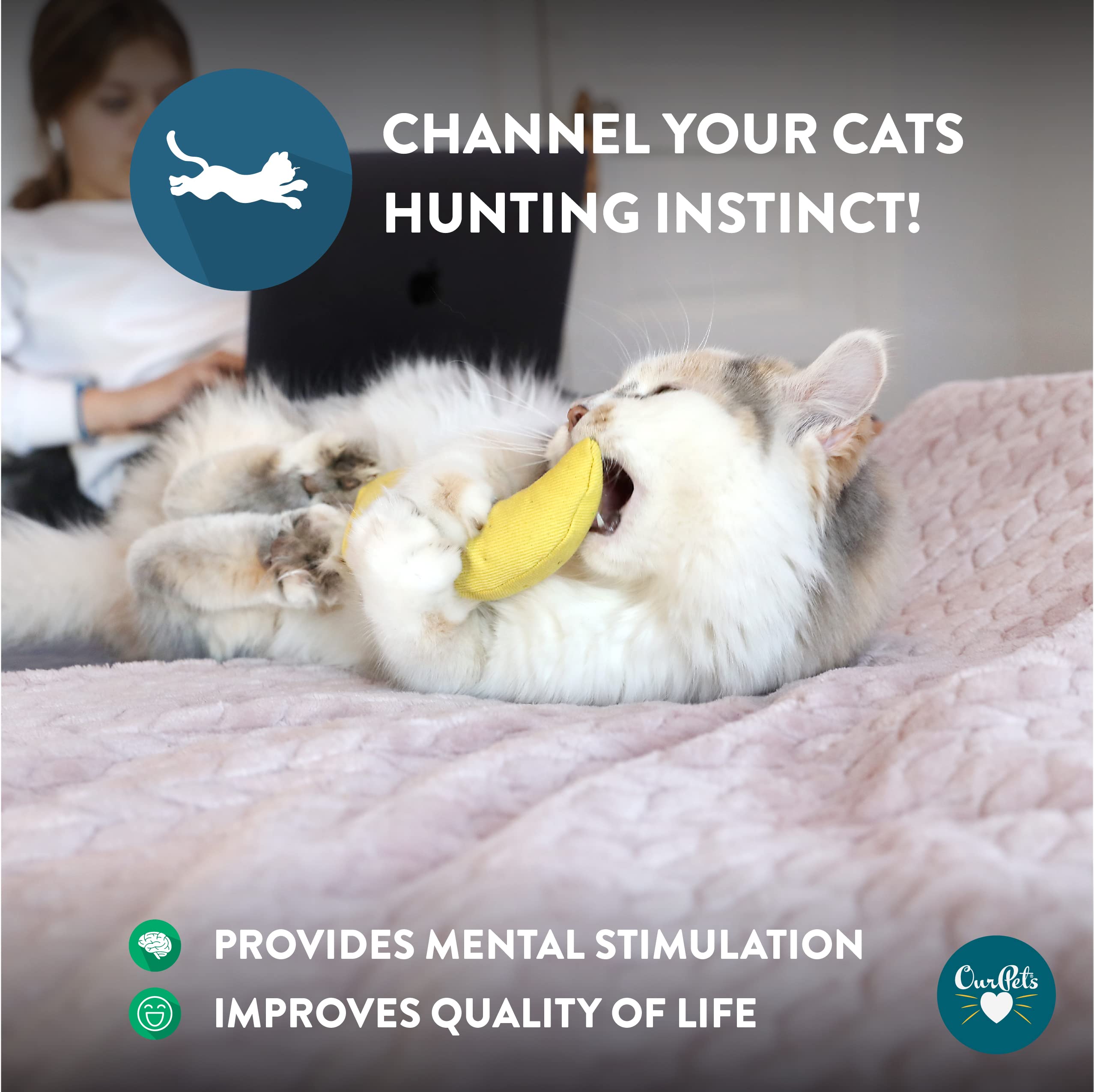 100% Catnip Filled Cat Toy (Set Of 2) Style: Yellow