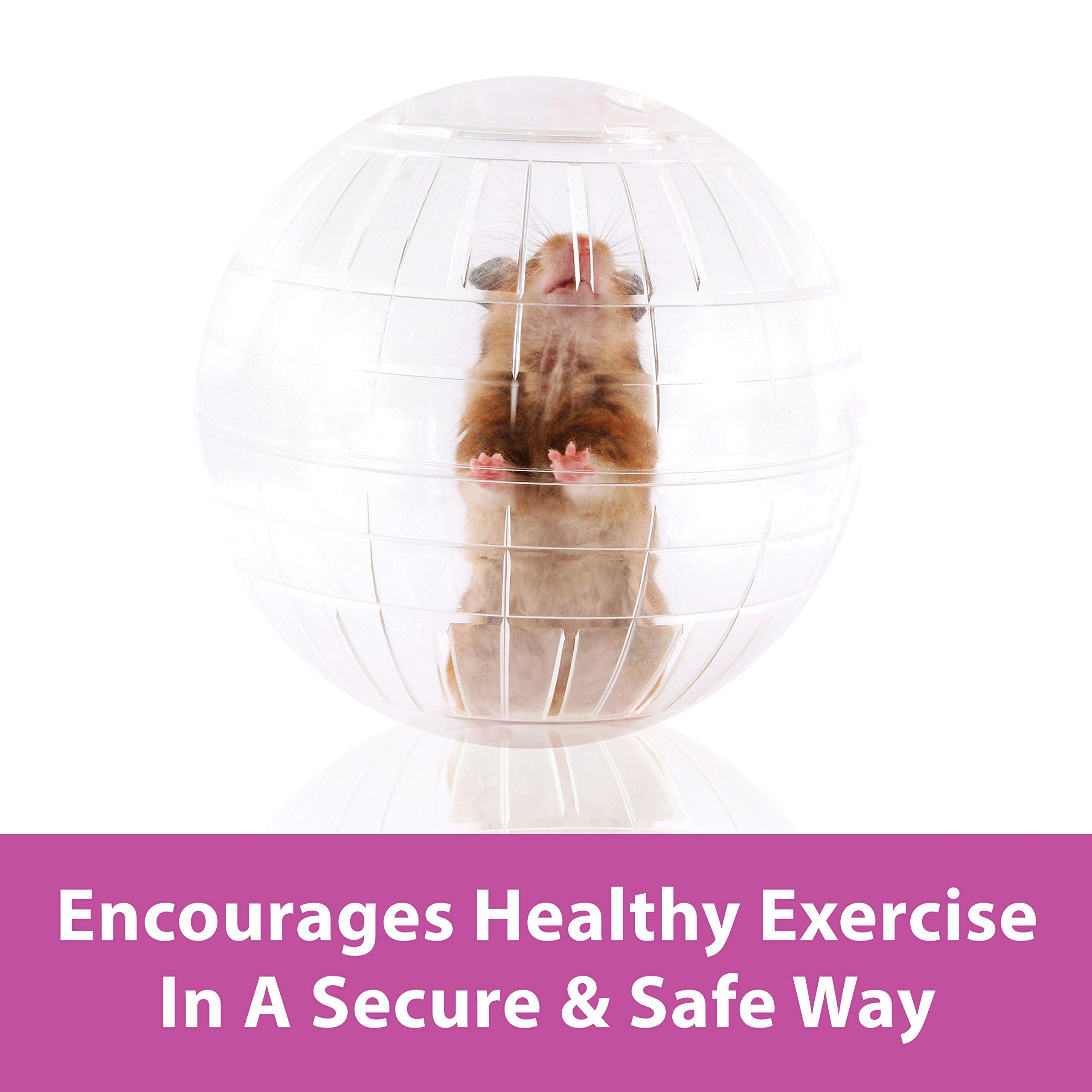 Kaytee 7' Clear Run-About Exercise Ball For Pet Hamsters & Gerbils